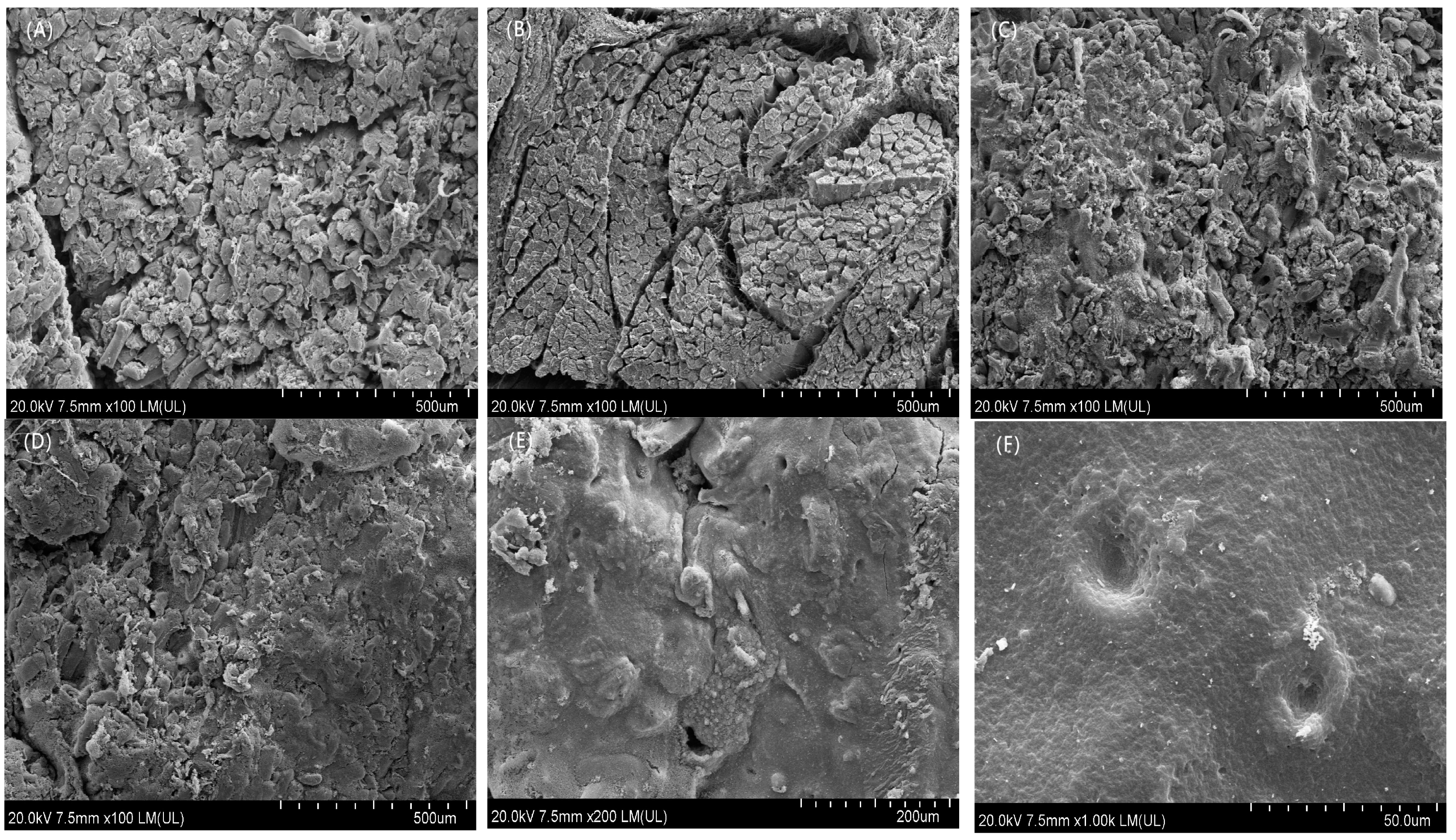 Processes 11 02567 g007