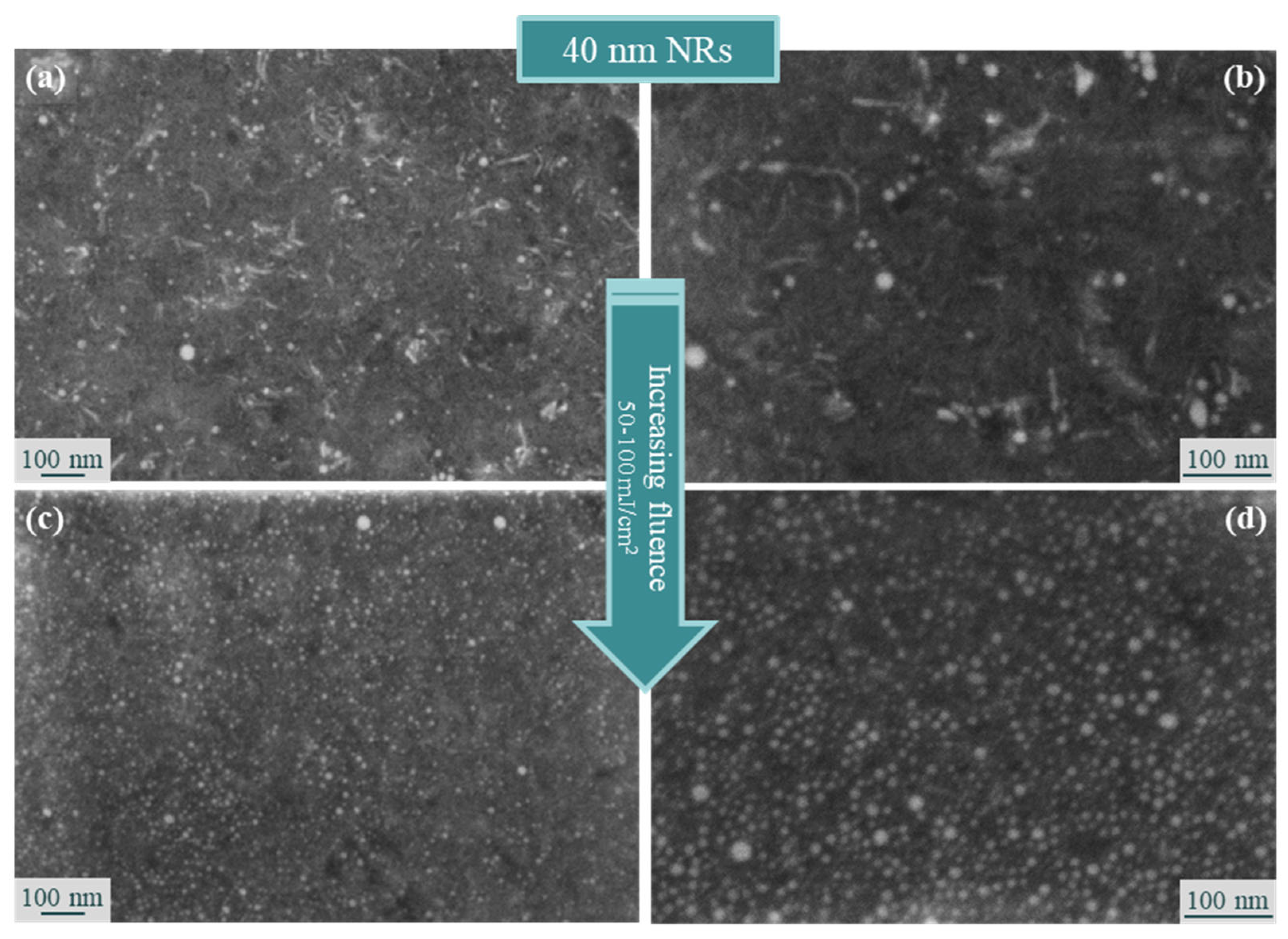 Processes 11 02591 g004