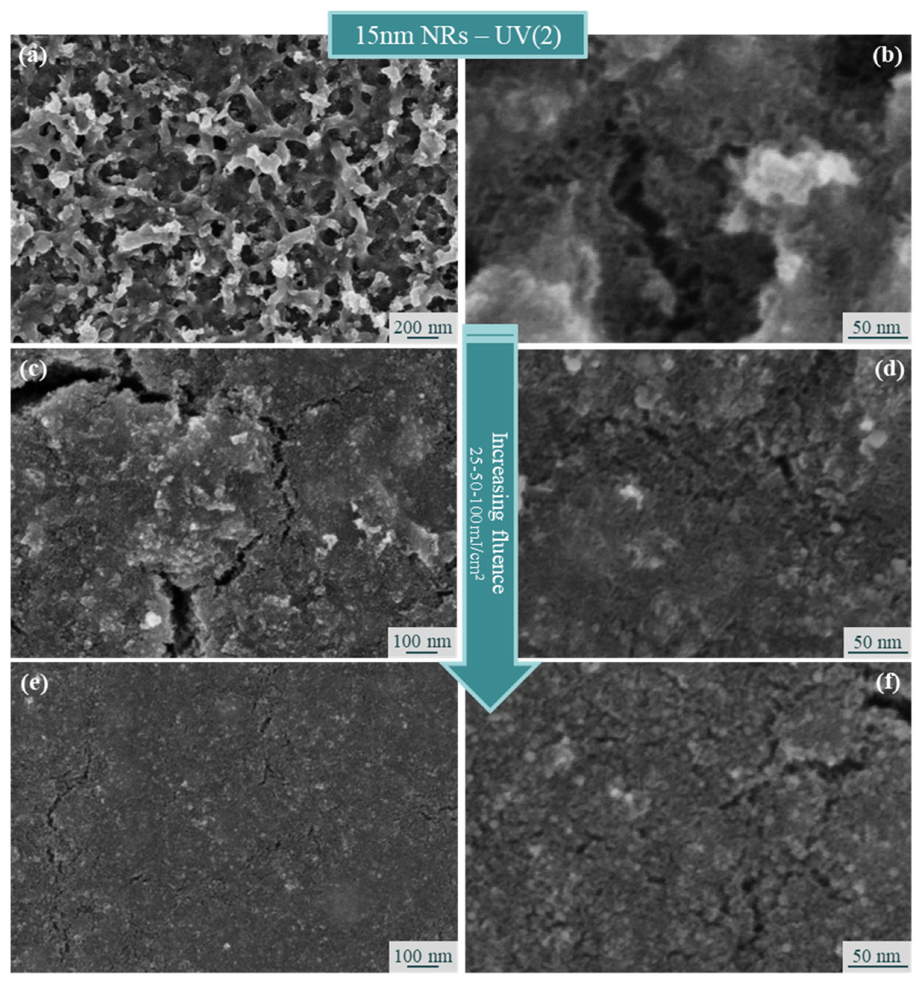 Processes 11 02591 g007