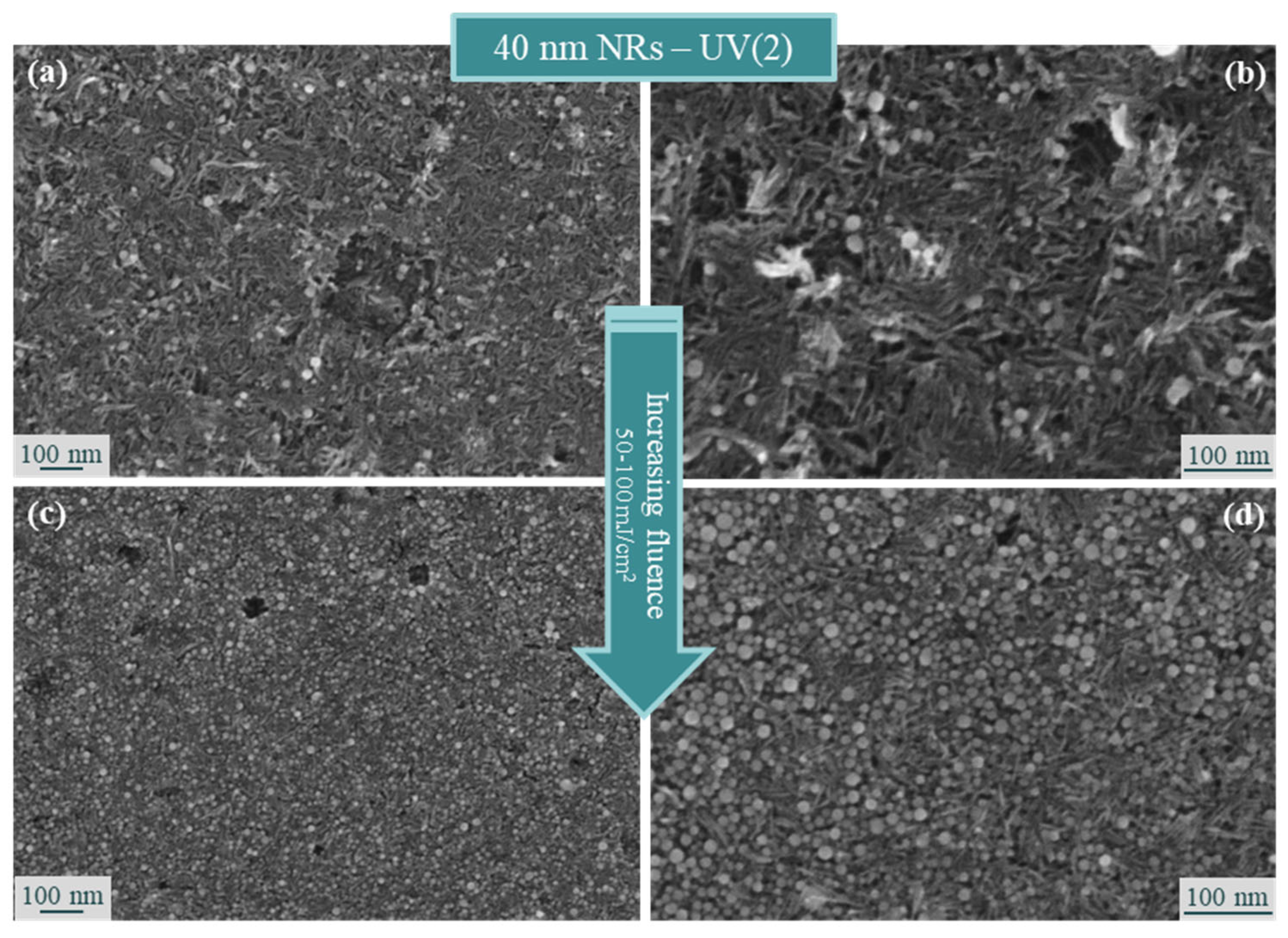 Processes 11 02591 g008