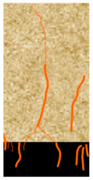 Processes 11 02599 i019