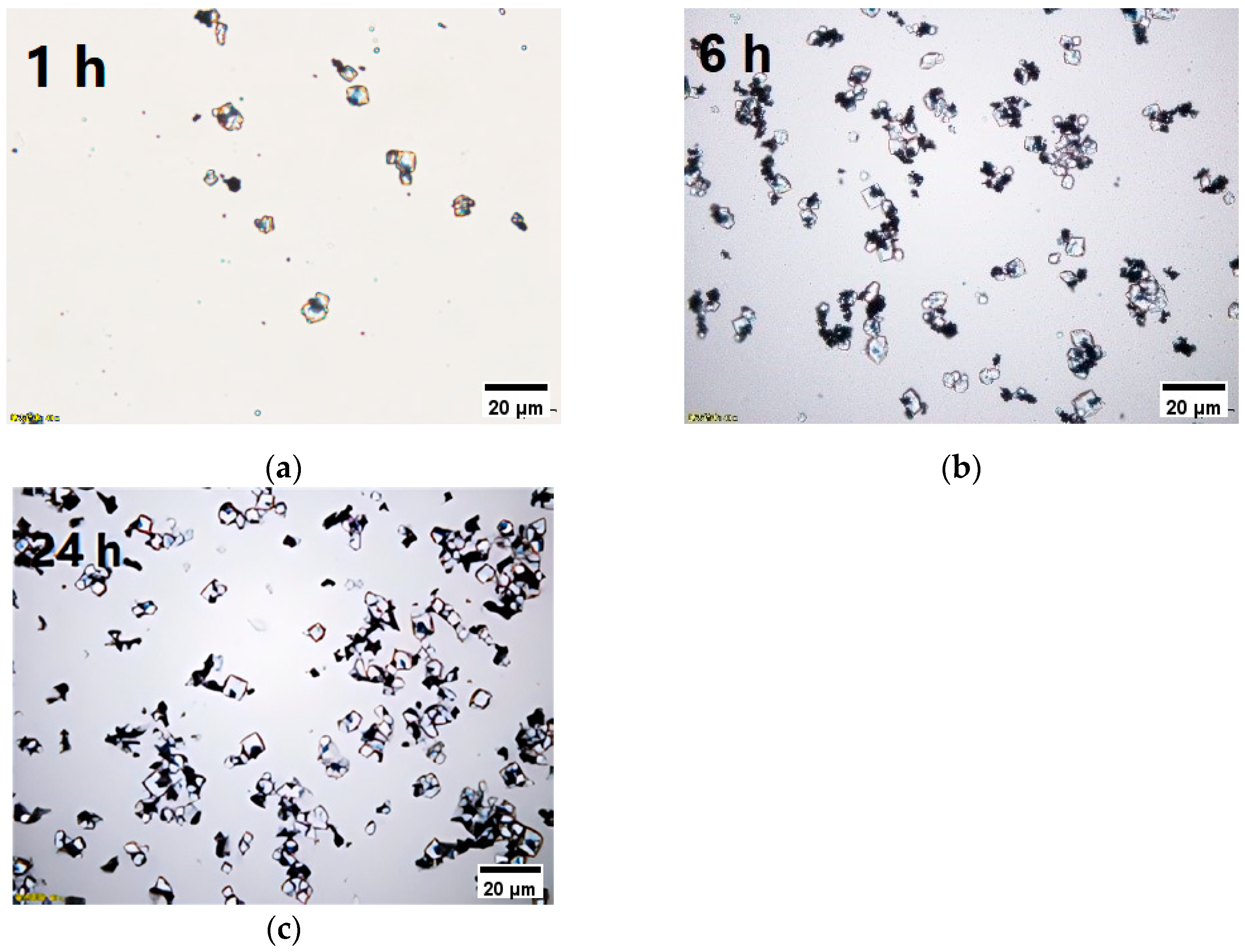 Processes 11 02644 g003