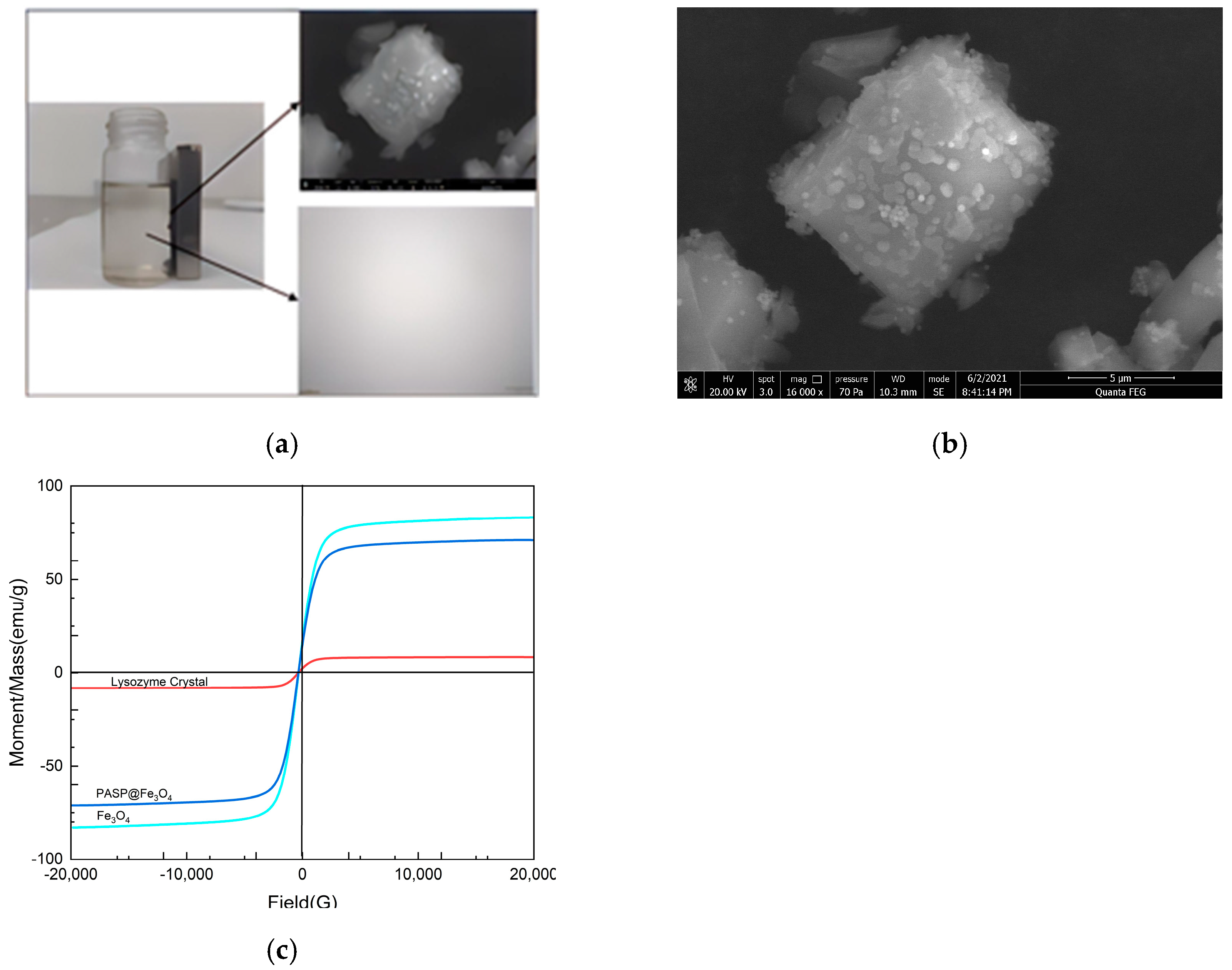 Processes 11 02644 g006