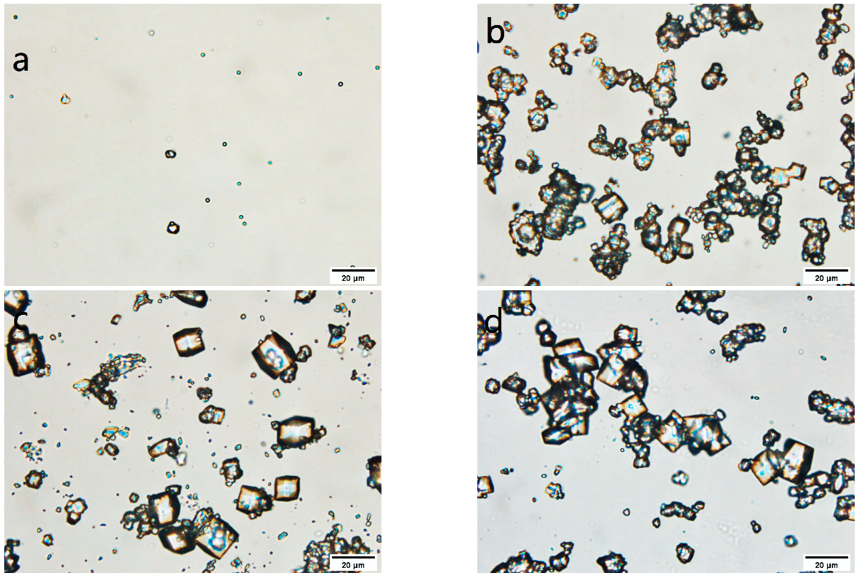Processes 11 02644 g008
