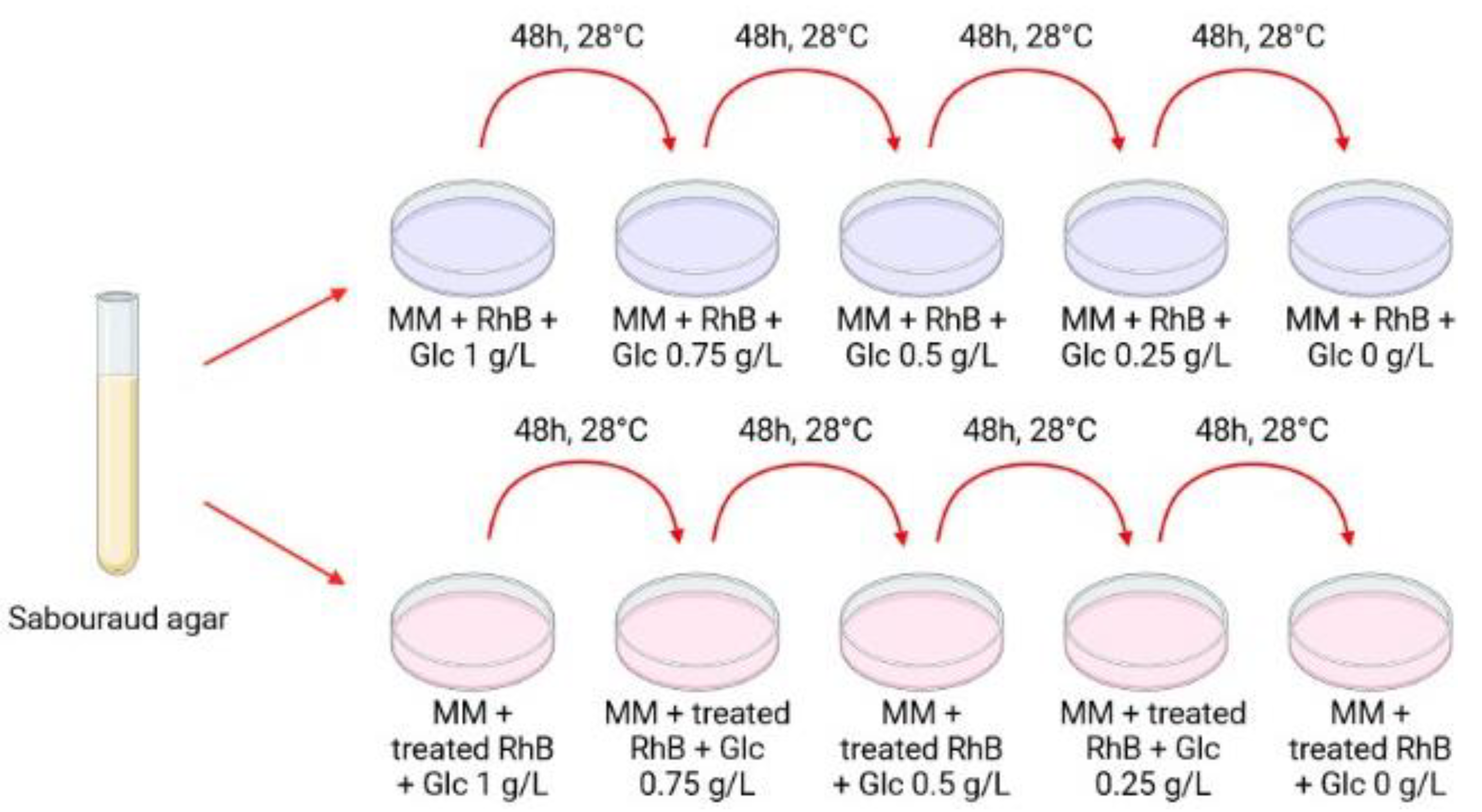 Processes 11 02671 g001 Processes 11 02671 g001