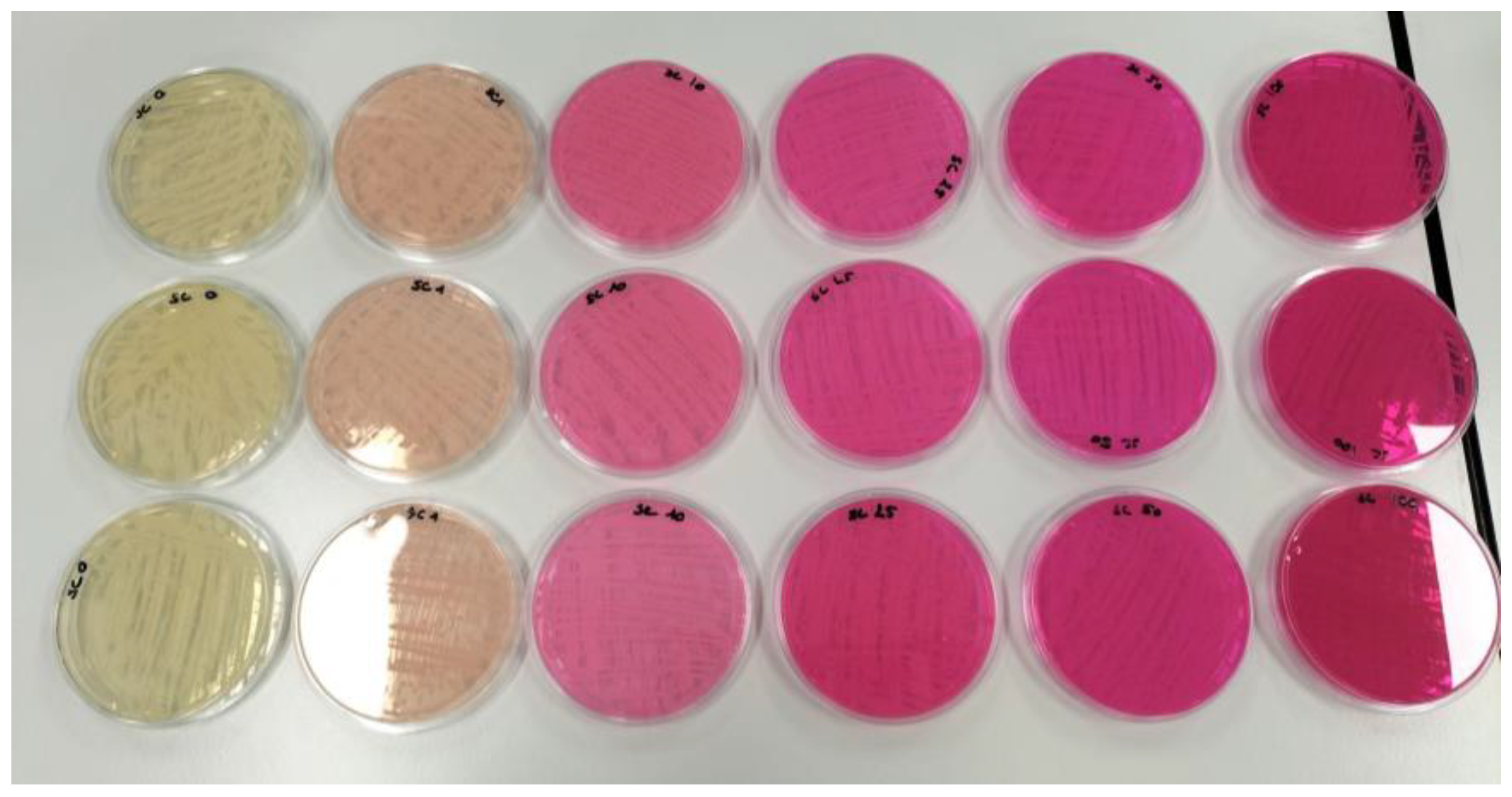 Processes 11 02671 g003 Processes 11 02671 g003