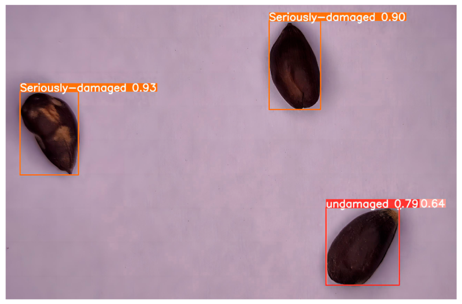 Processes 11 02682 g011