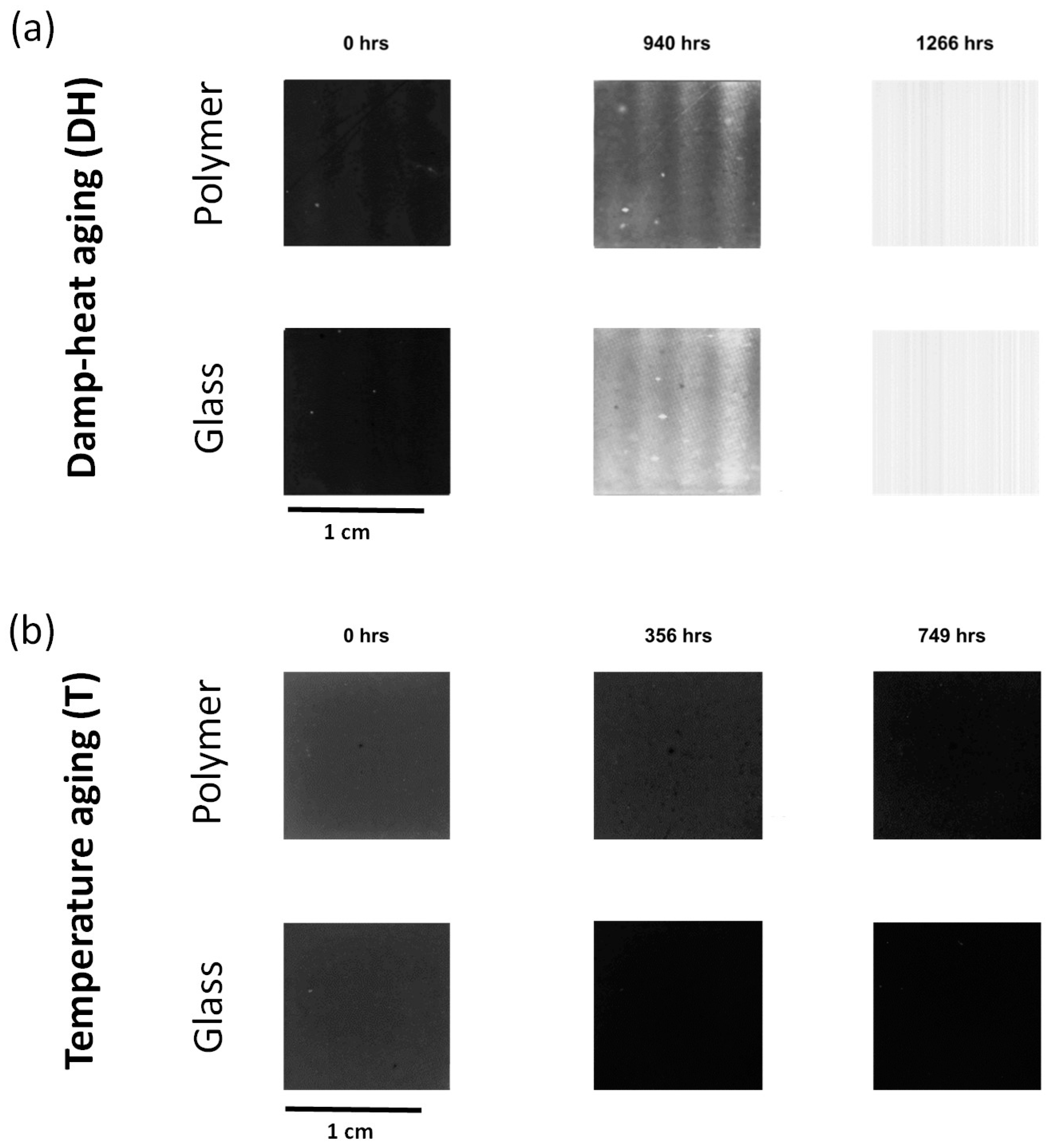 Processes 11 02742 g008