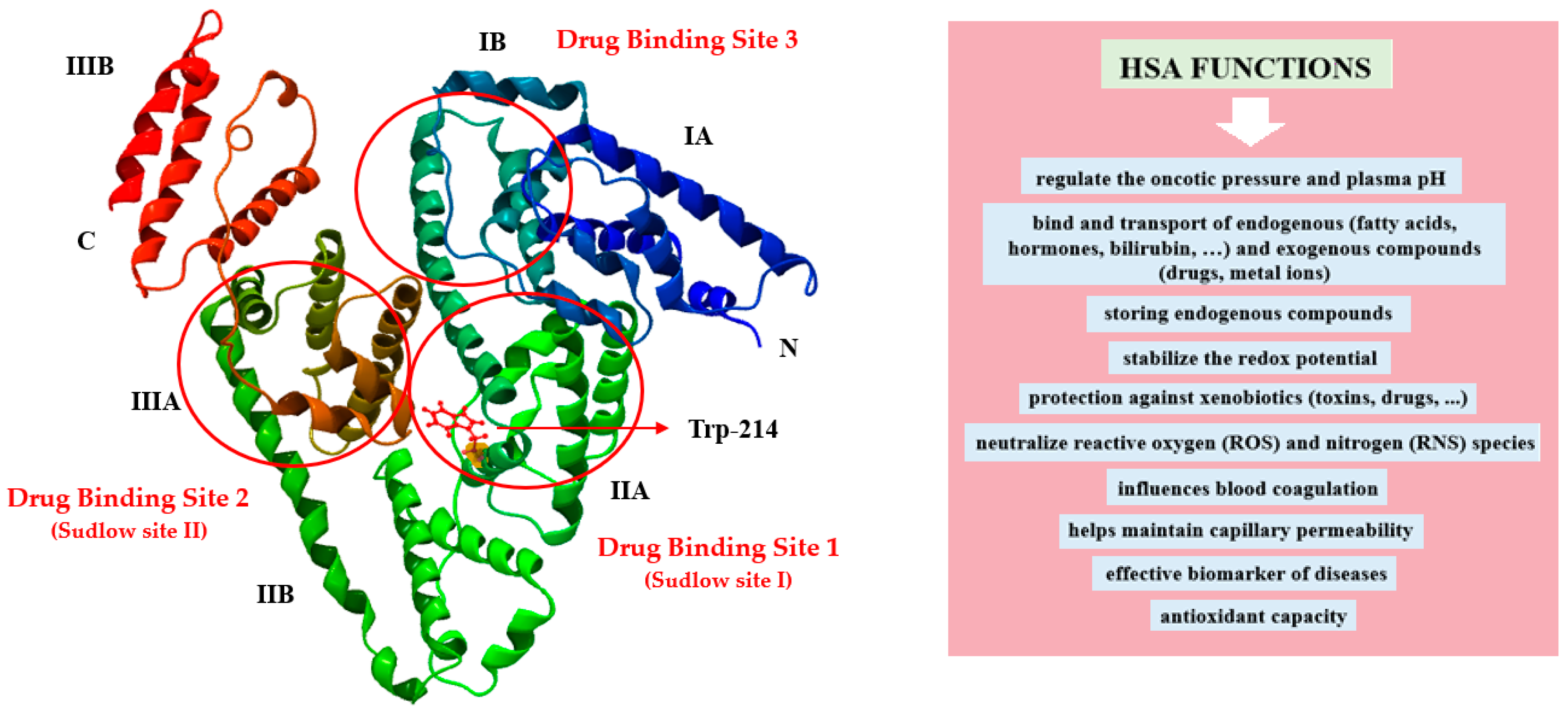 Processes Free FullText Effect of Palmitic Acid on Tertiary