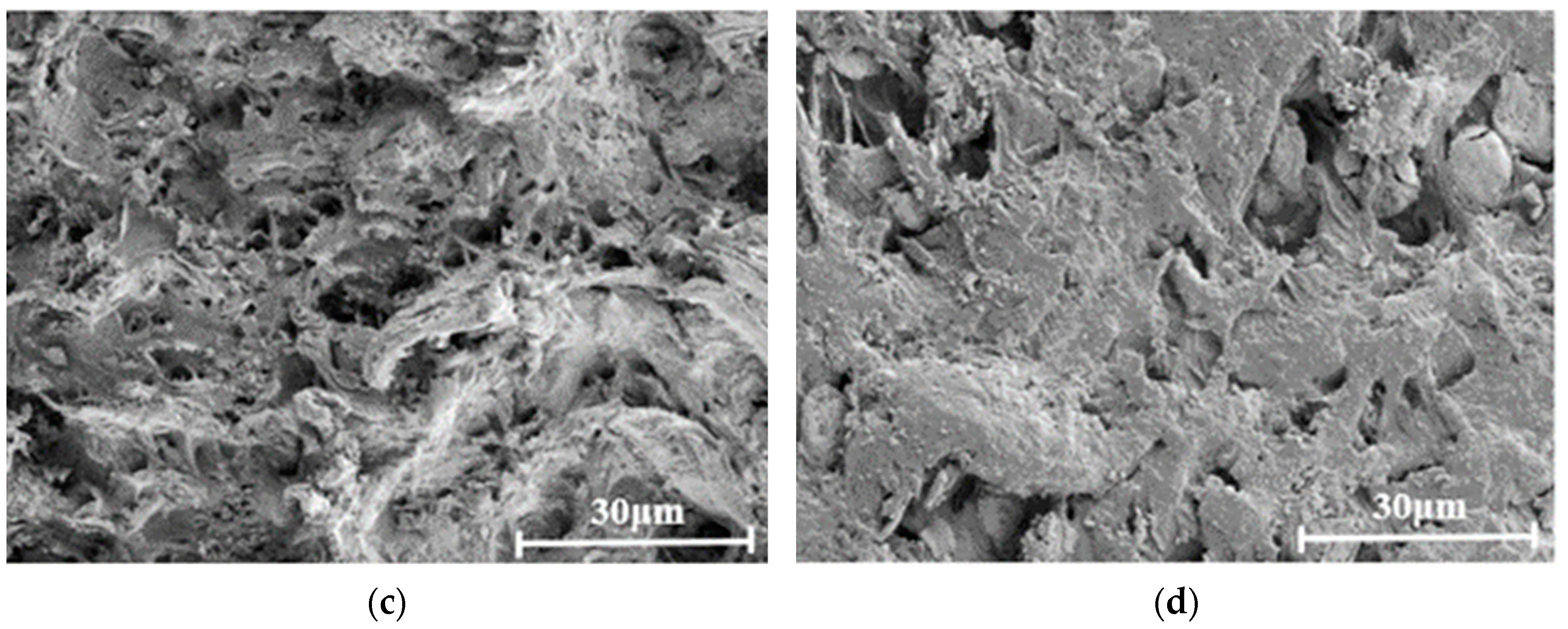 Processes 11 02749 g007b