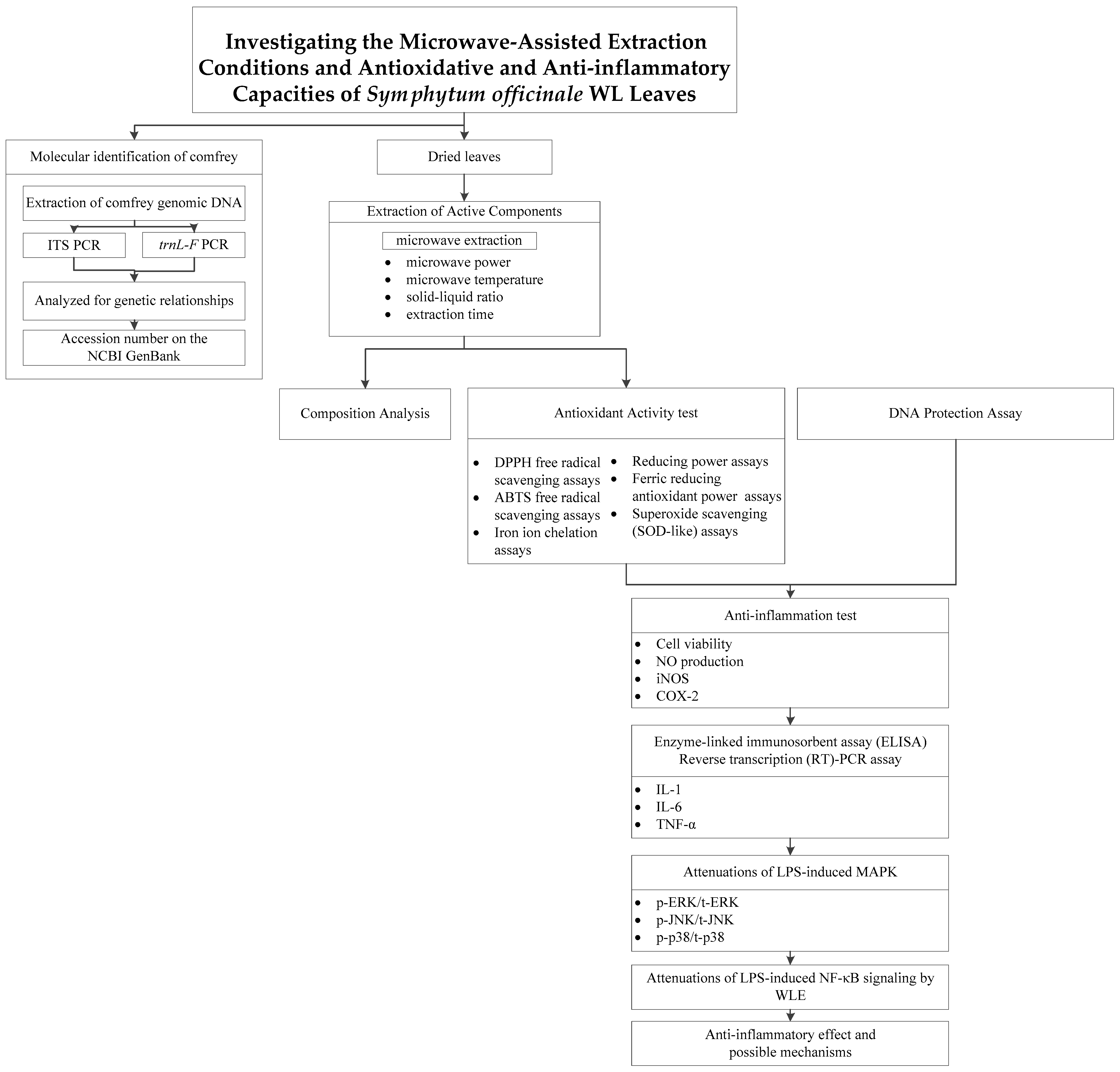 Processes 11 02750 g001