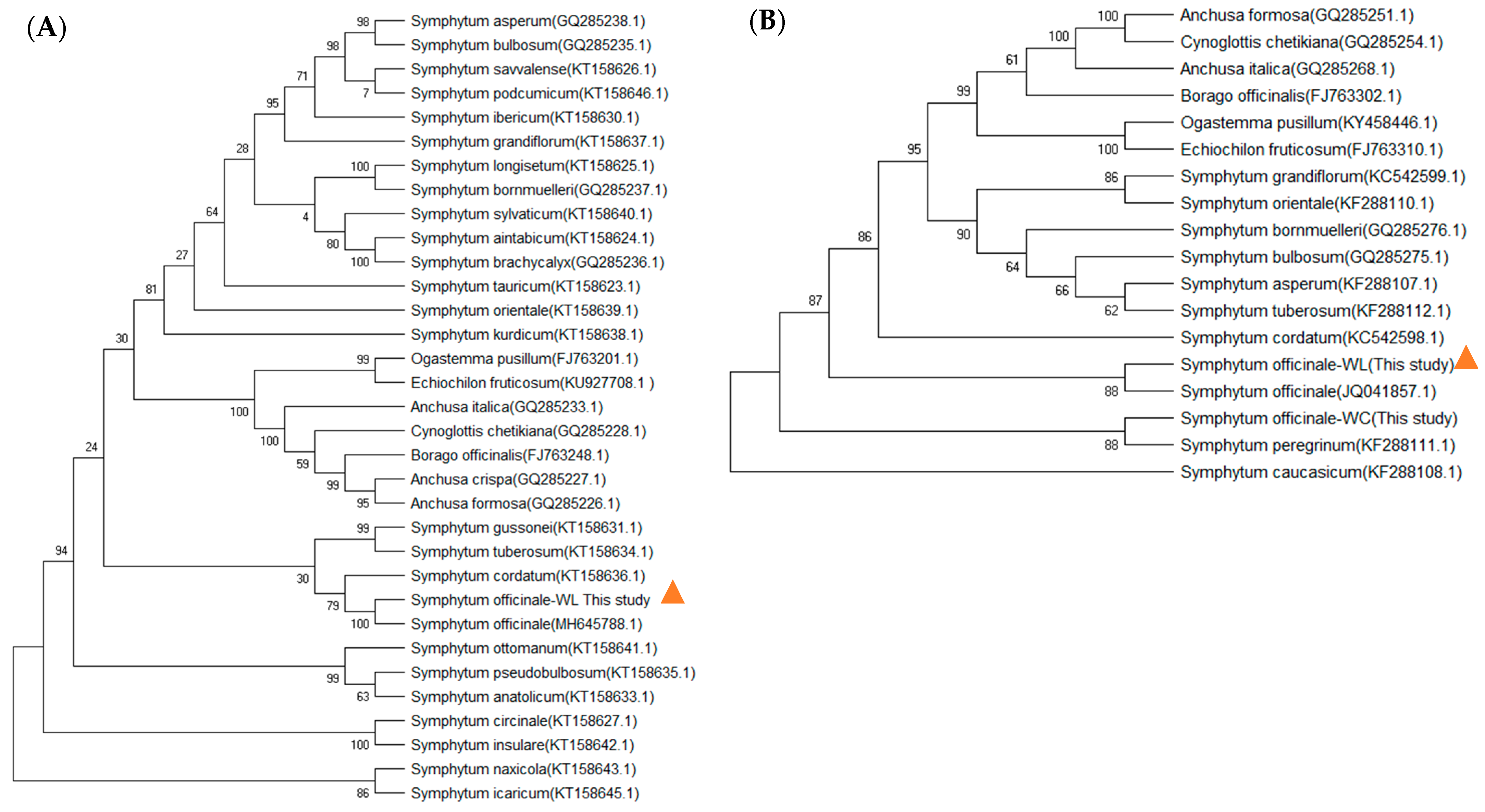 Processes 11 02750 g002