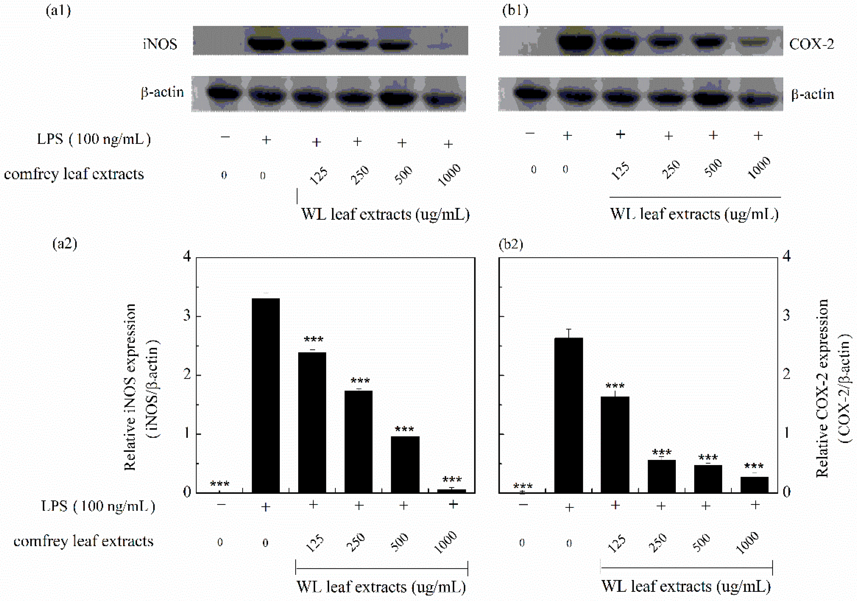 Processes 11 02750 g007