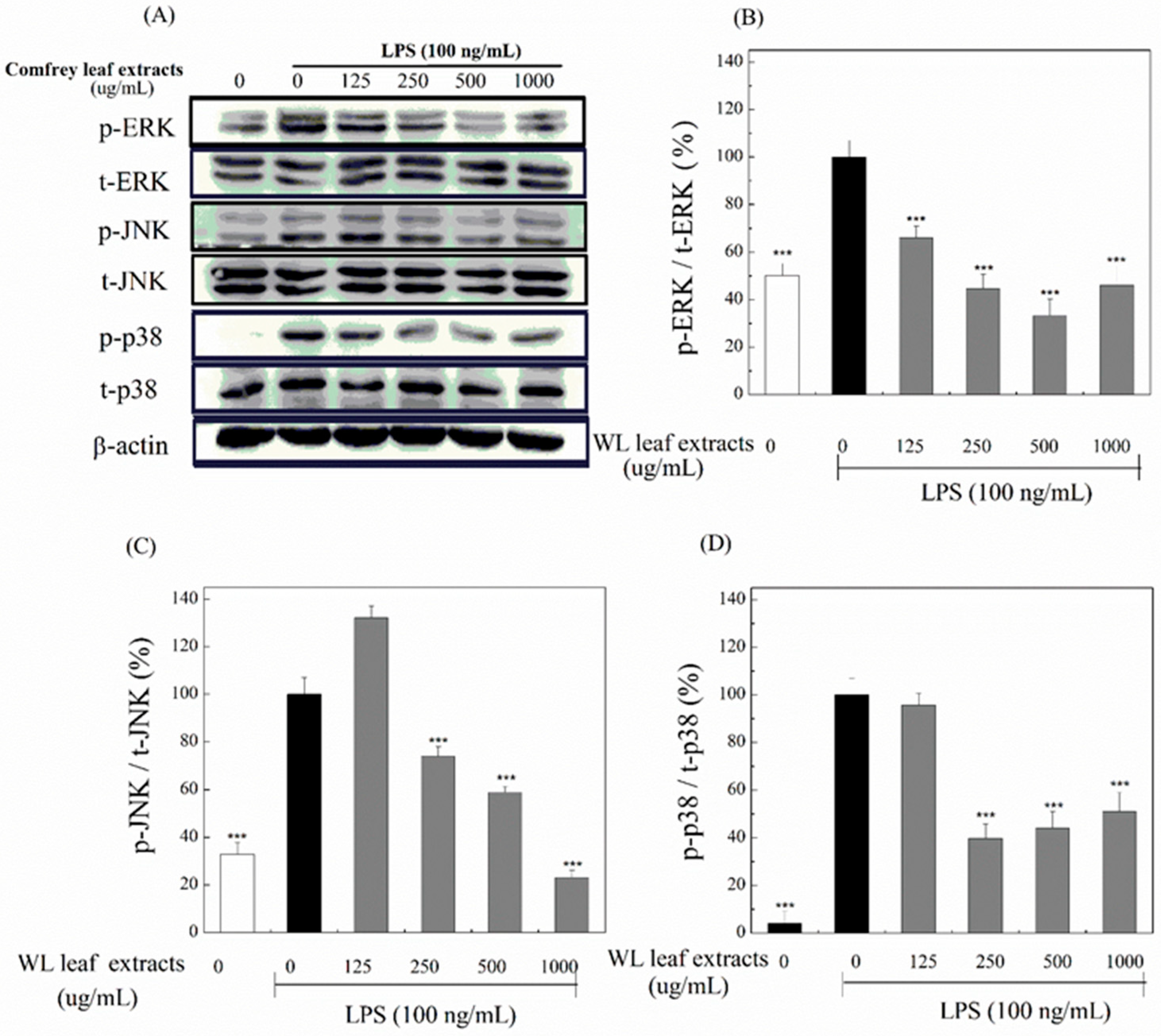 Processes 11 02750 g009