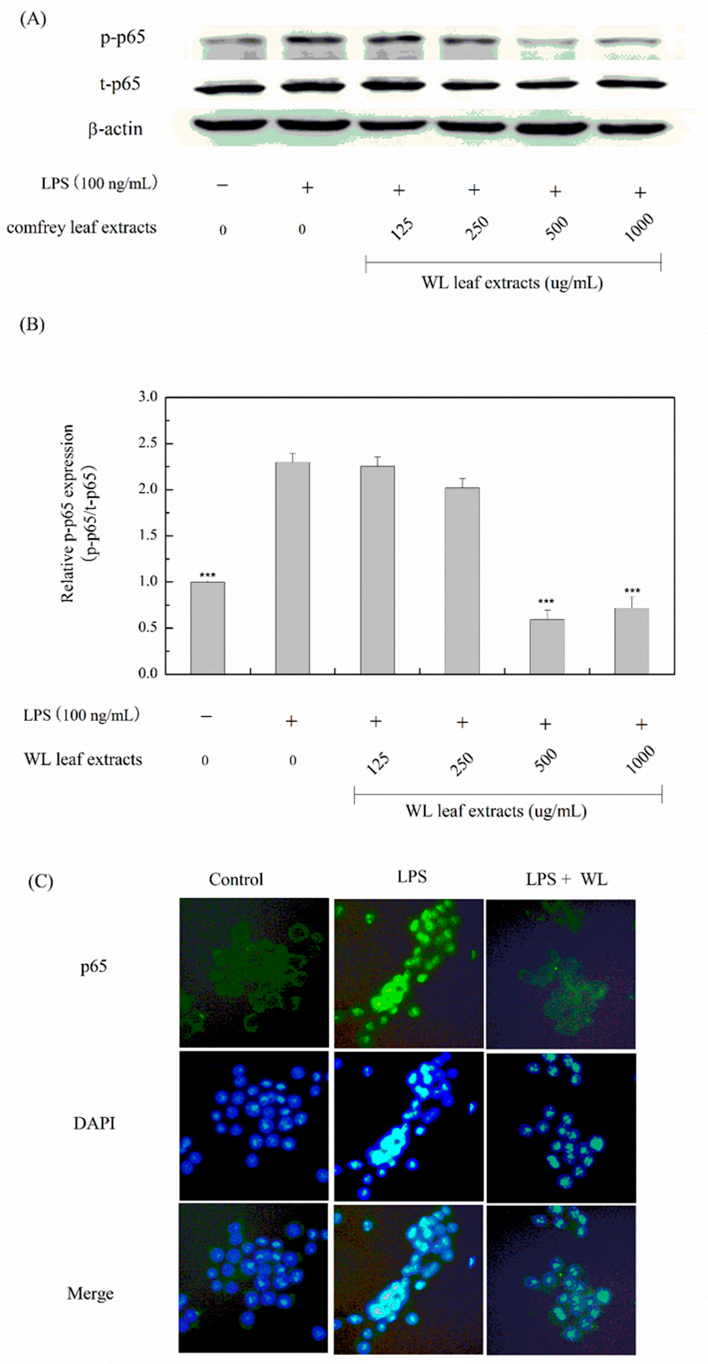 Processes 11 02750 g010