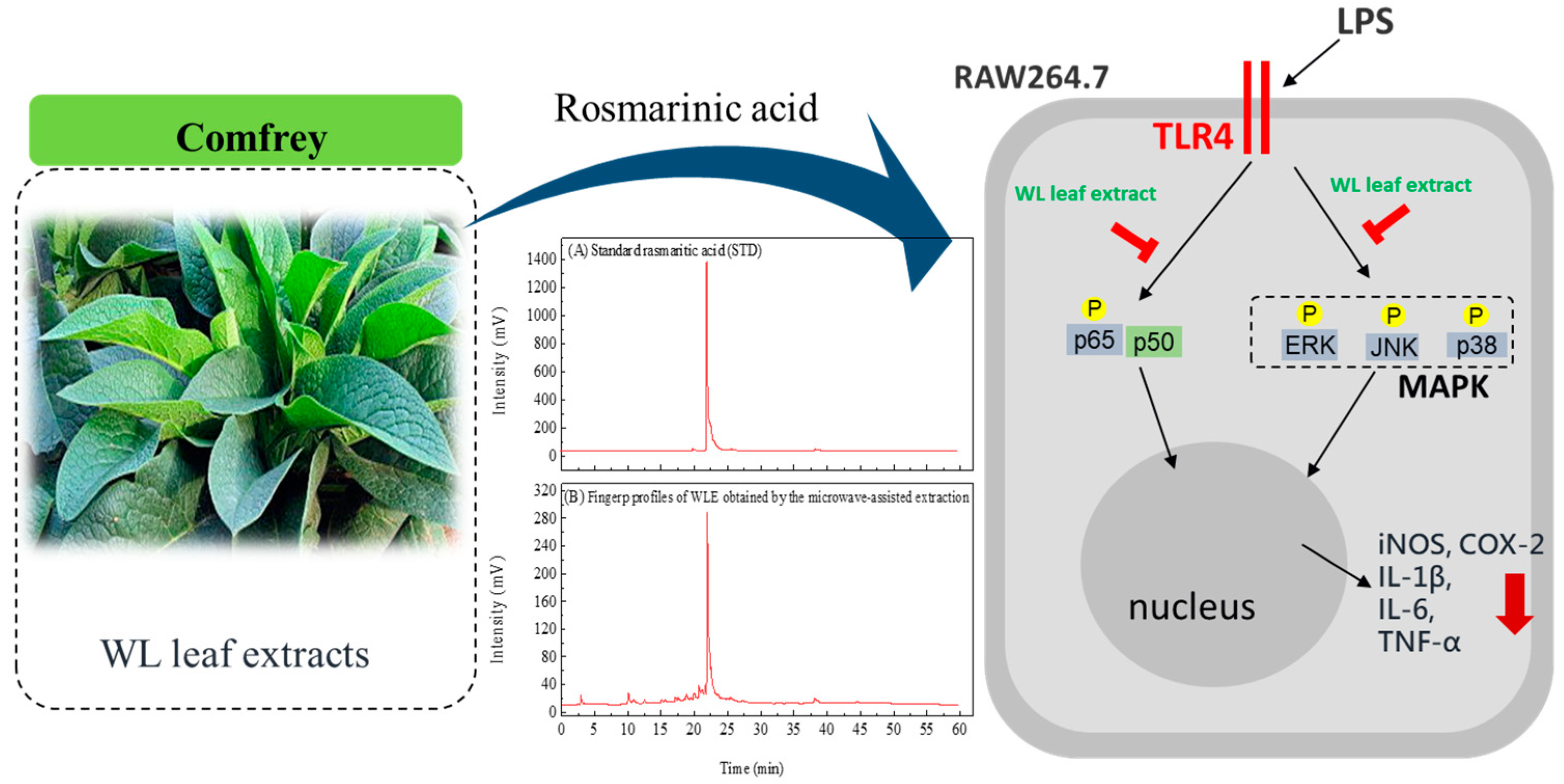 Processes 11 02750 g011