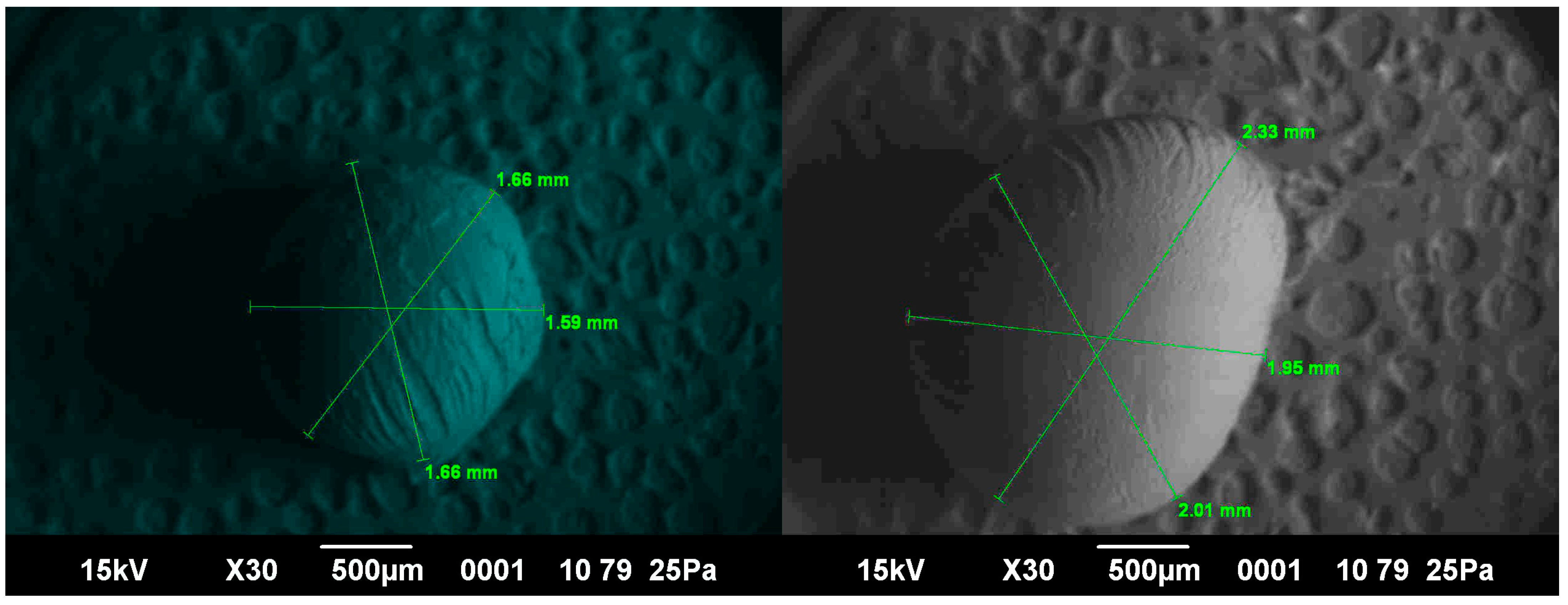 Processes 11 02757 g008