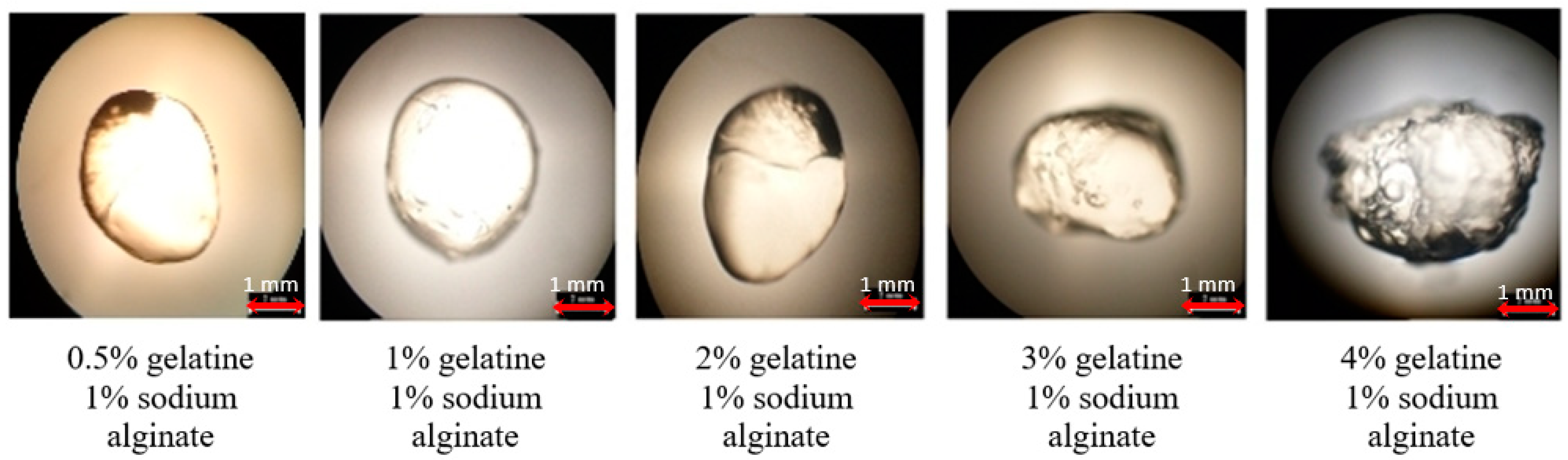 Processes 11 02757 g010