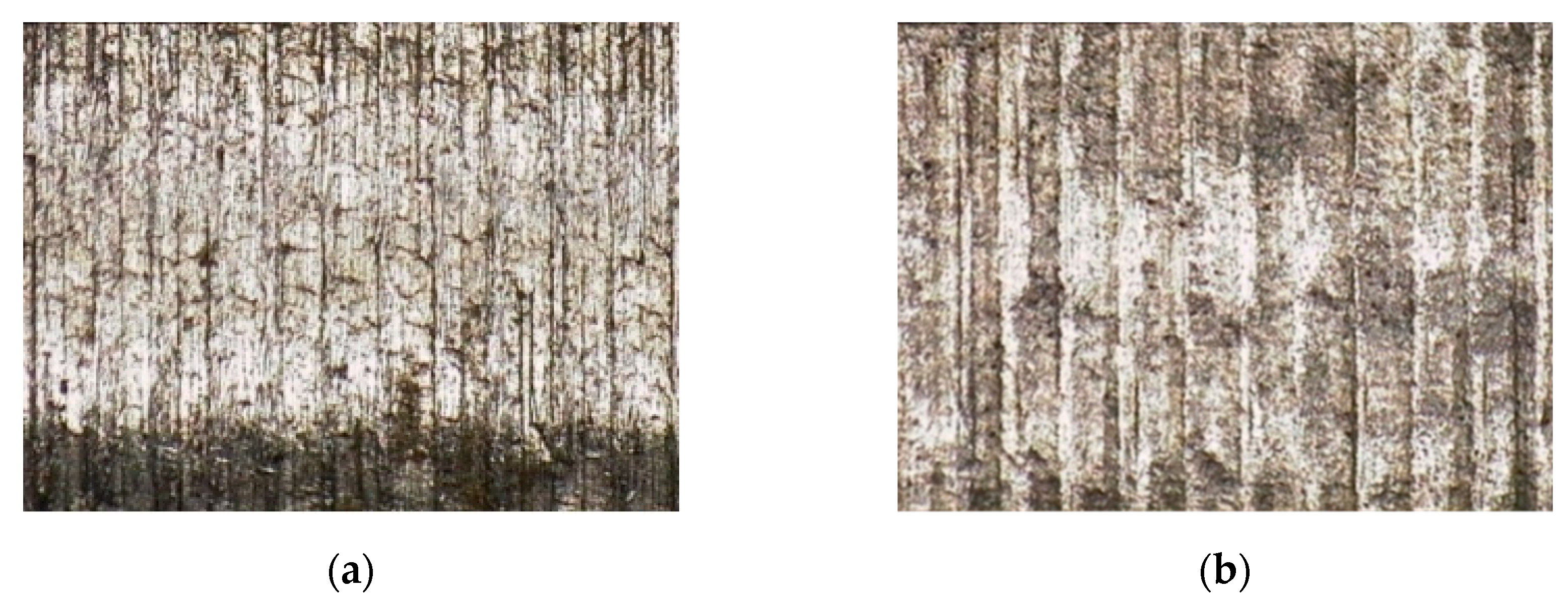 Processes 11 02762 g010