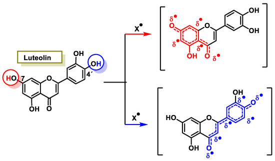 Polyphenols as Antioxidant/Pro-Oxidant Compounds and Donors of Reducing ...