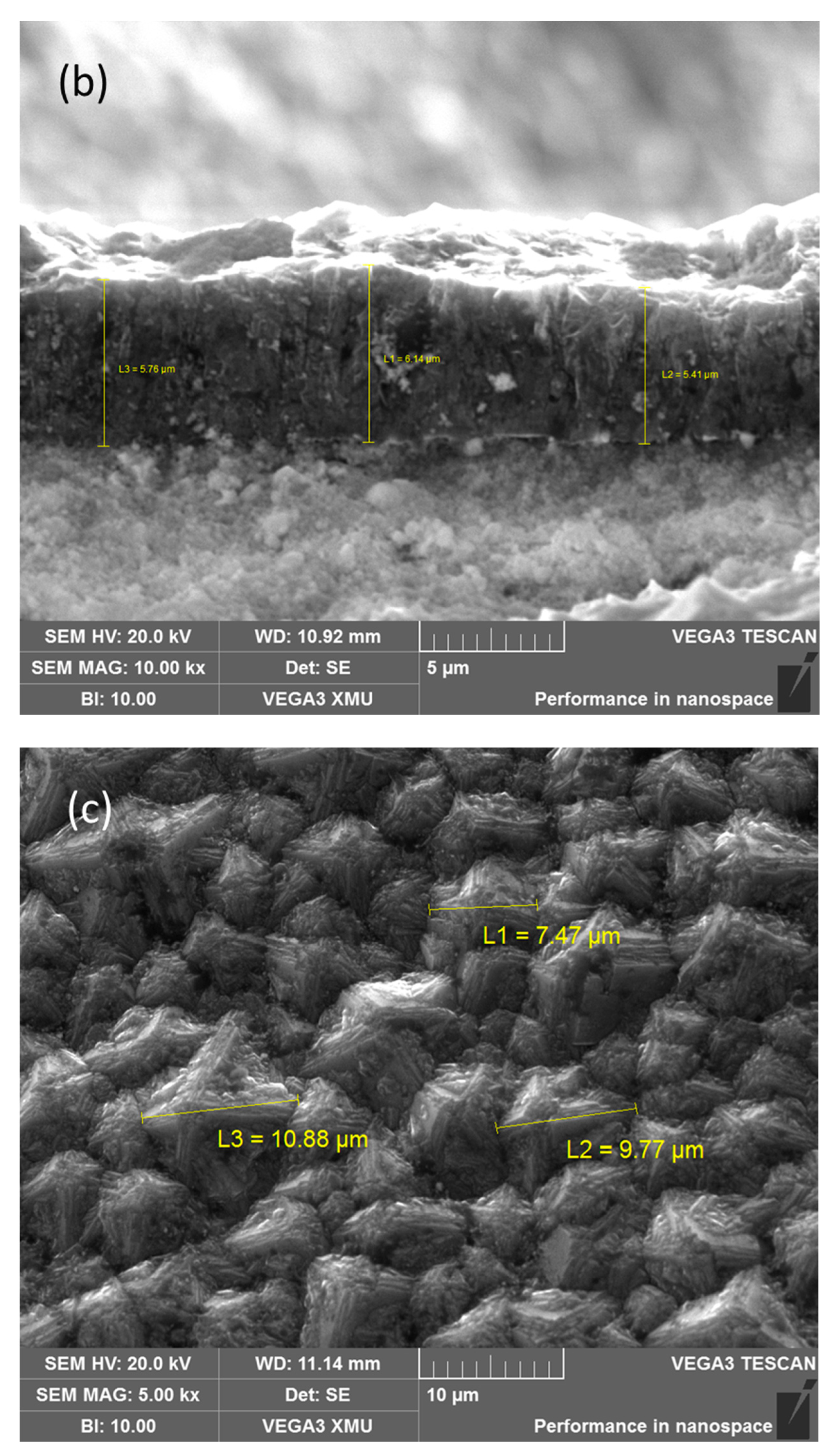 Processes 11 02773 g004b