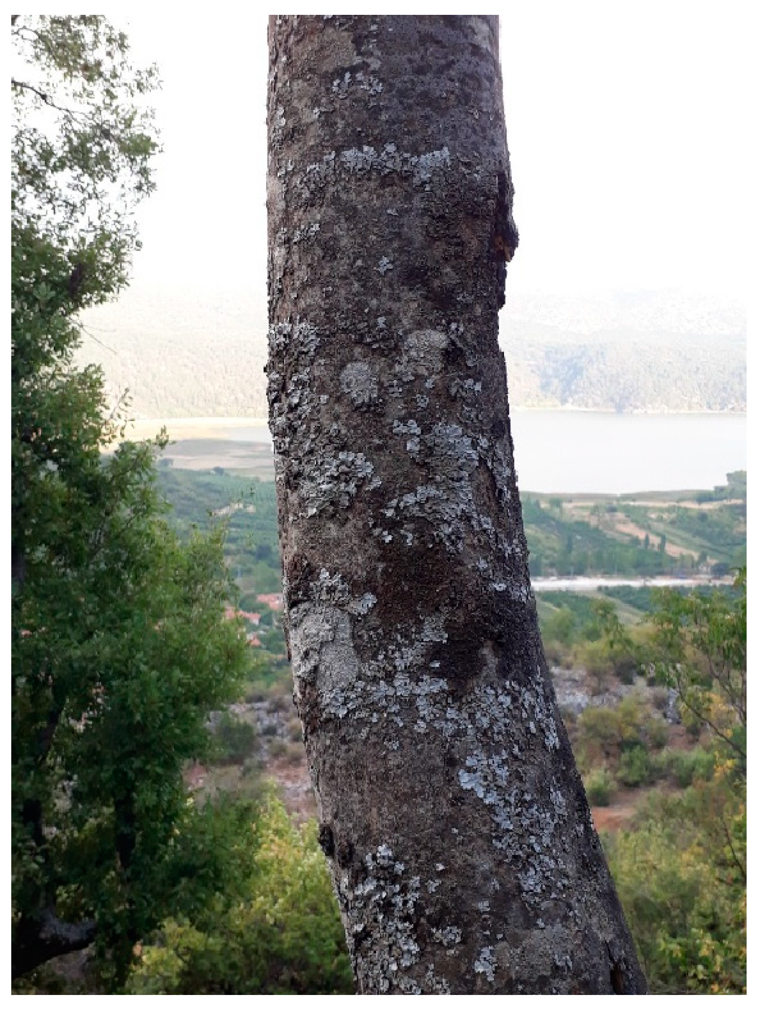 Processes 11 02774 g002