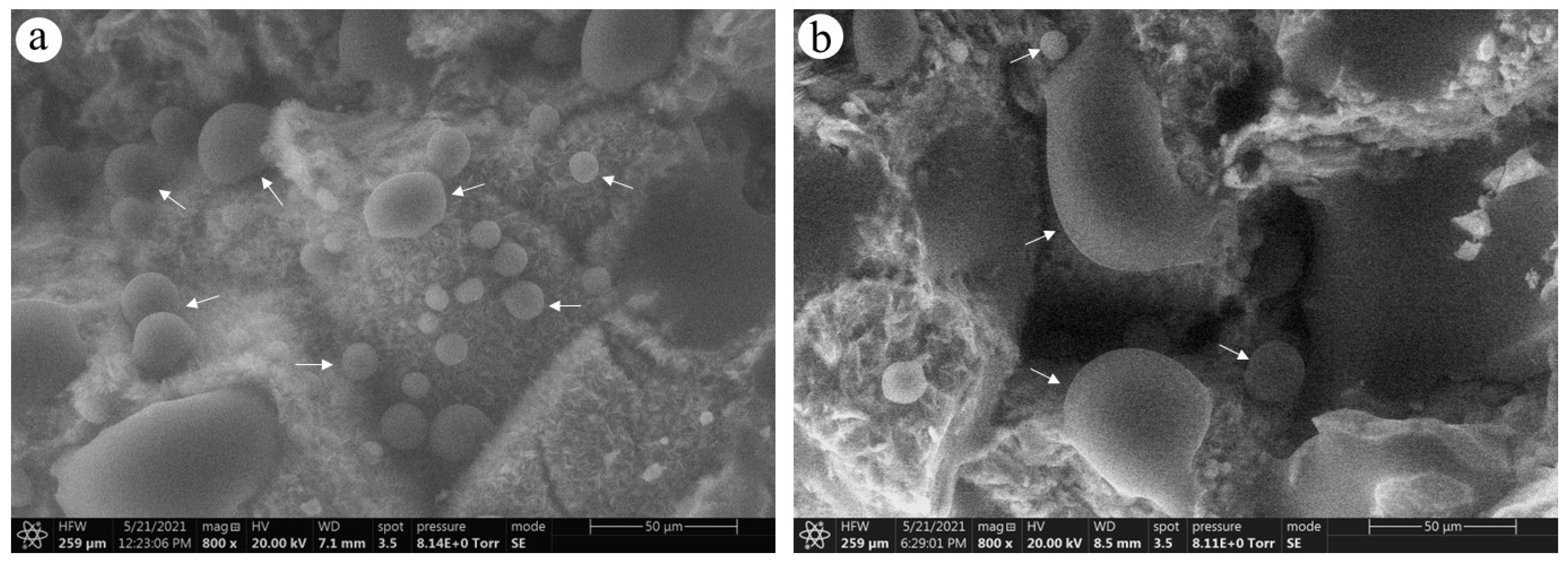 Processes 11 02786 g004