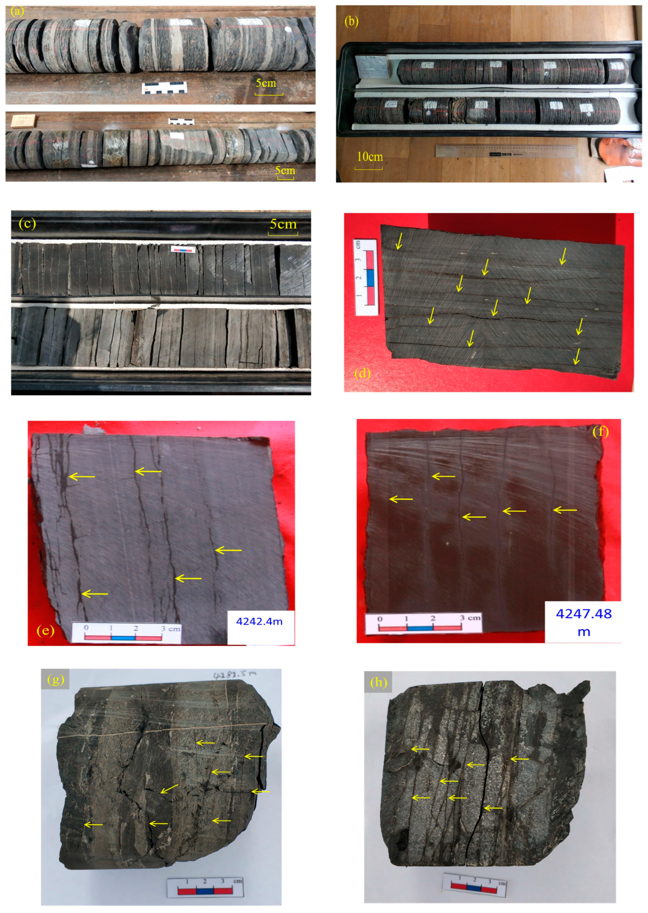 Processes 11 02791 g006