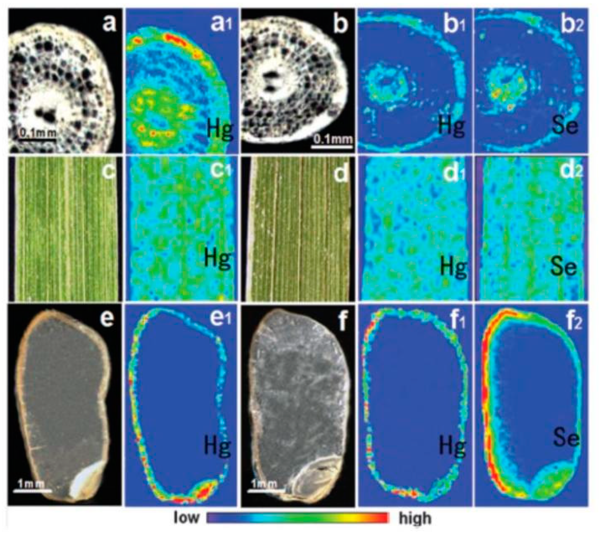 Processes 11 02821 g004