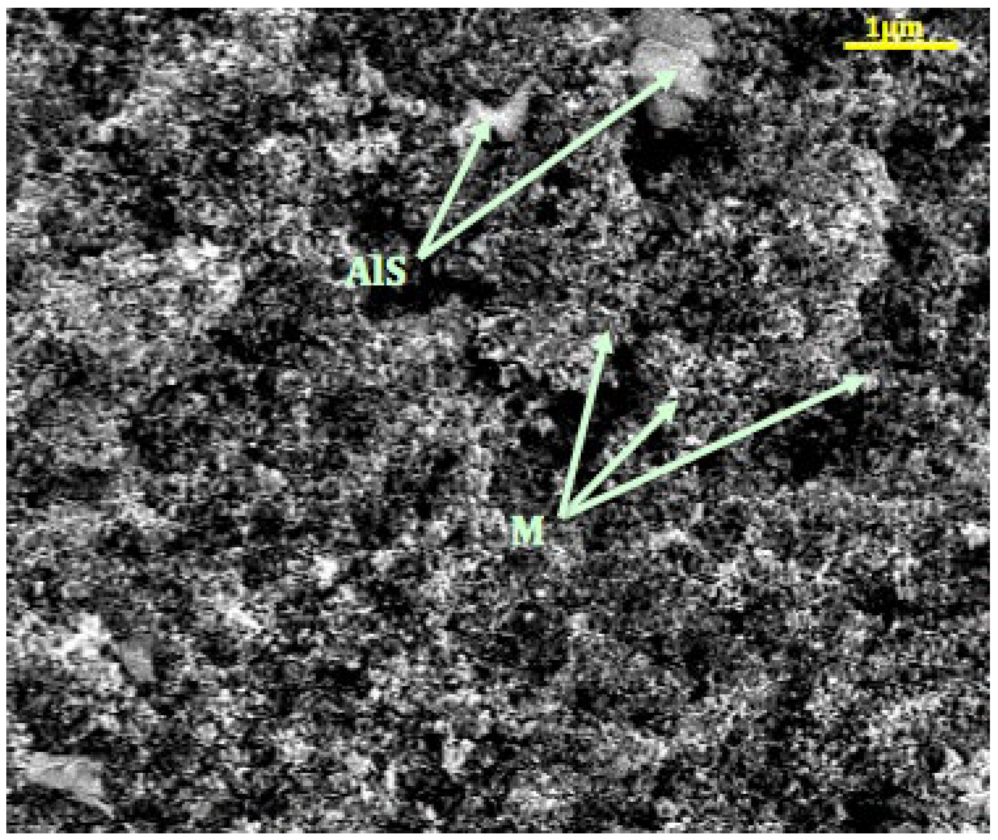 Processes 11 02836 g003