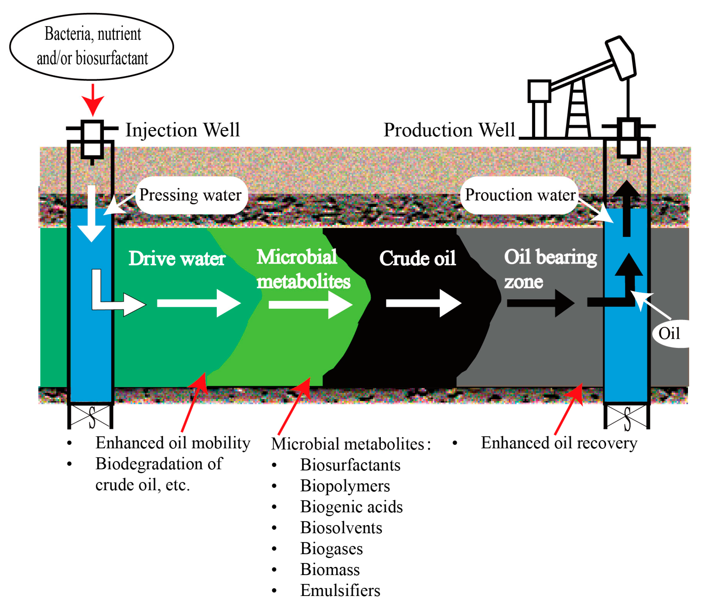 Processes Free FullText Development of Microbial Consortium and