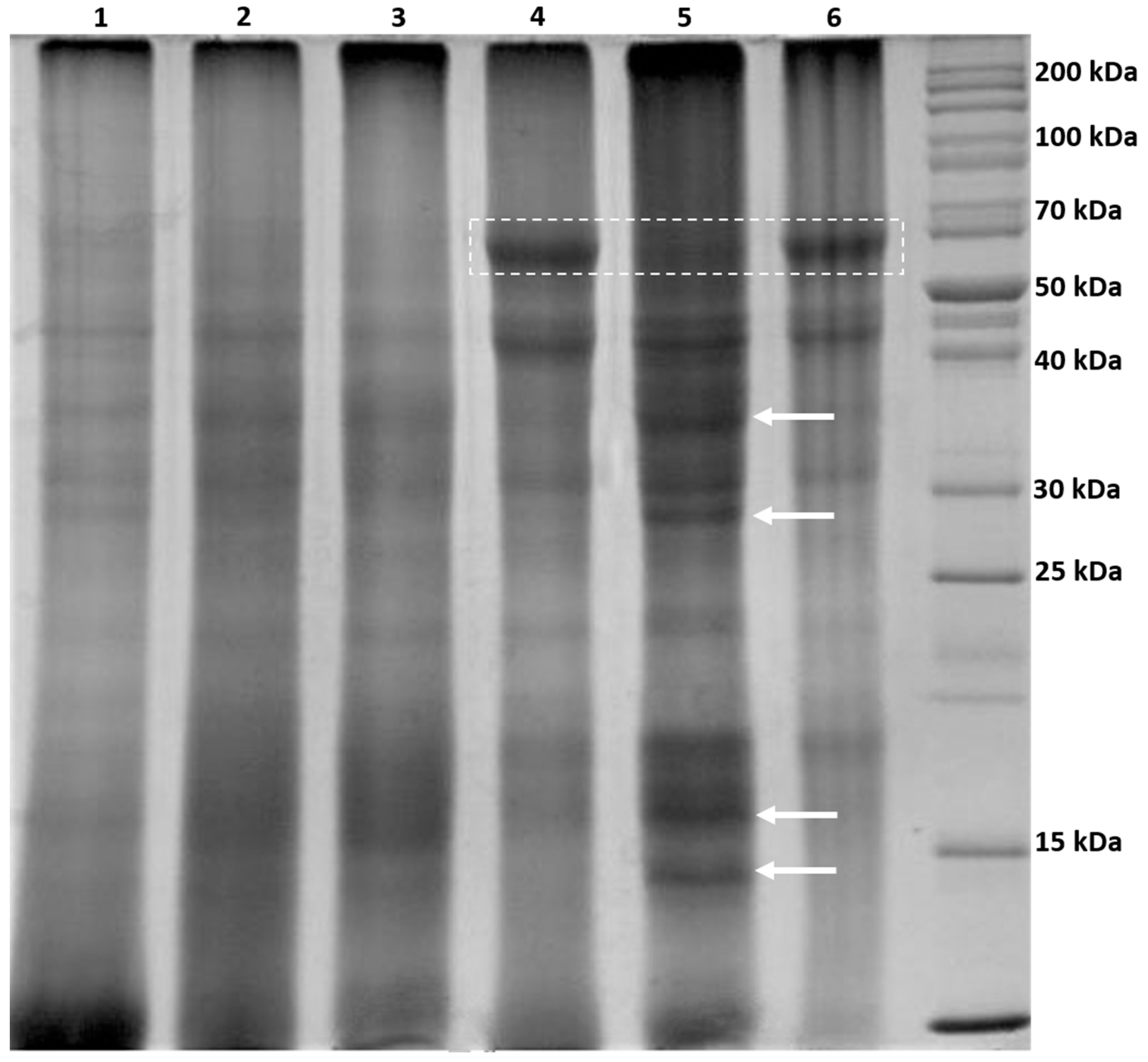 Processes 11 02858 g003