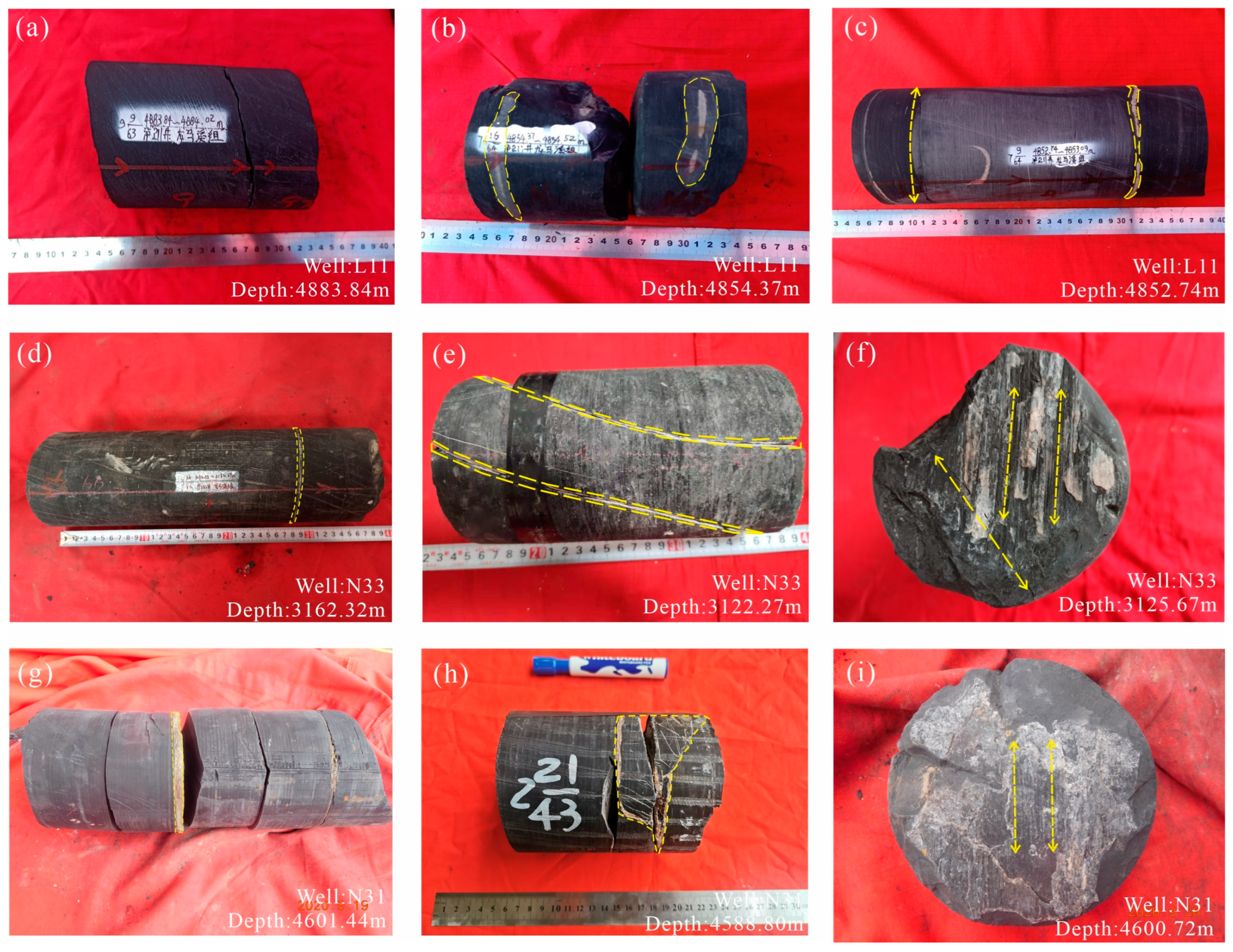 Processes 11 02873 g005