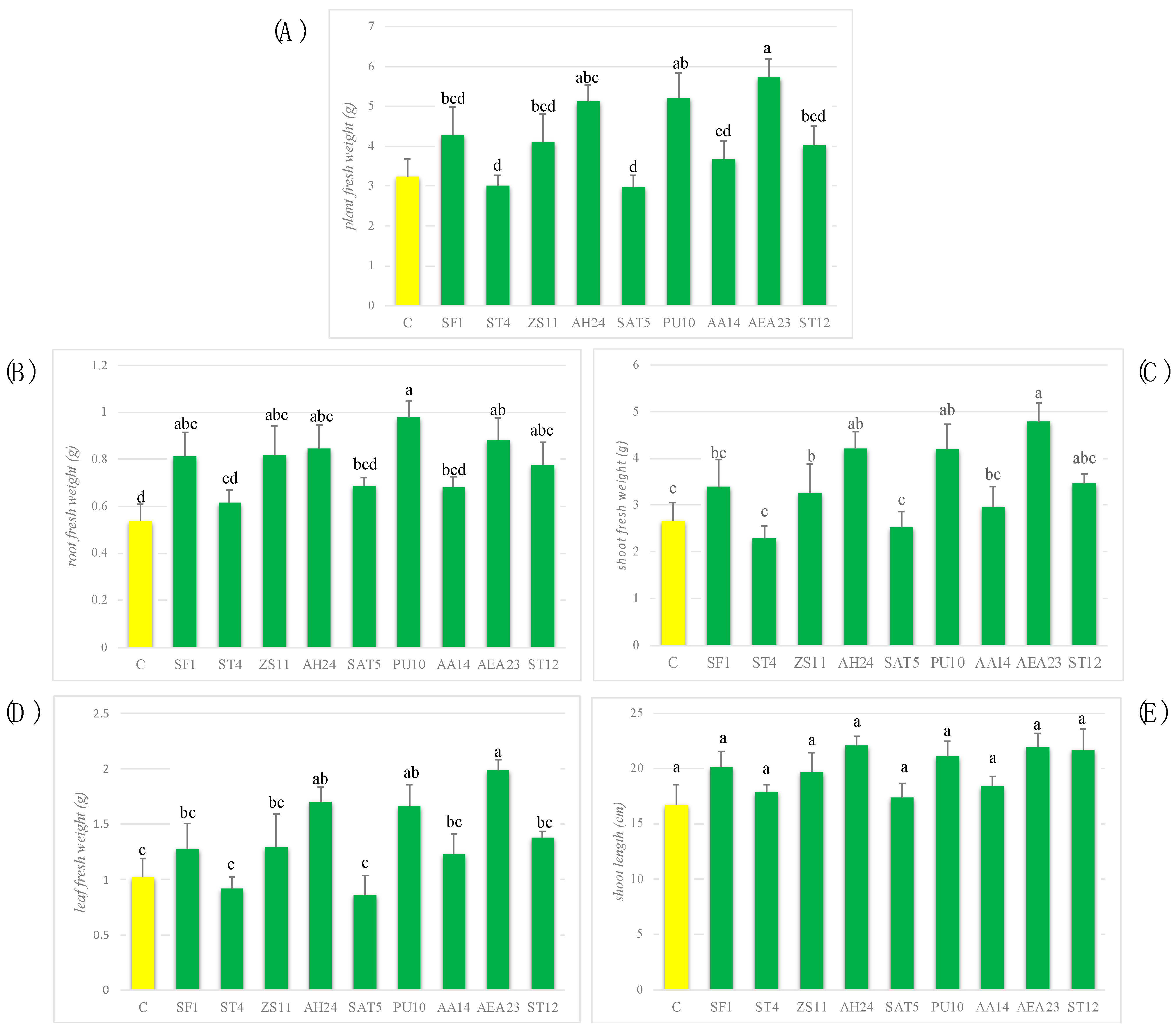Processes 11 02907 g004 Processes 11 02907 g004