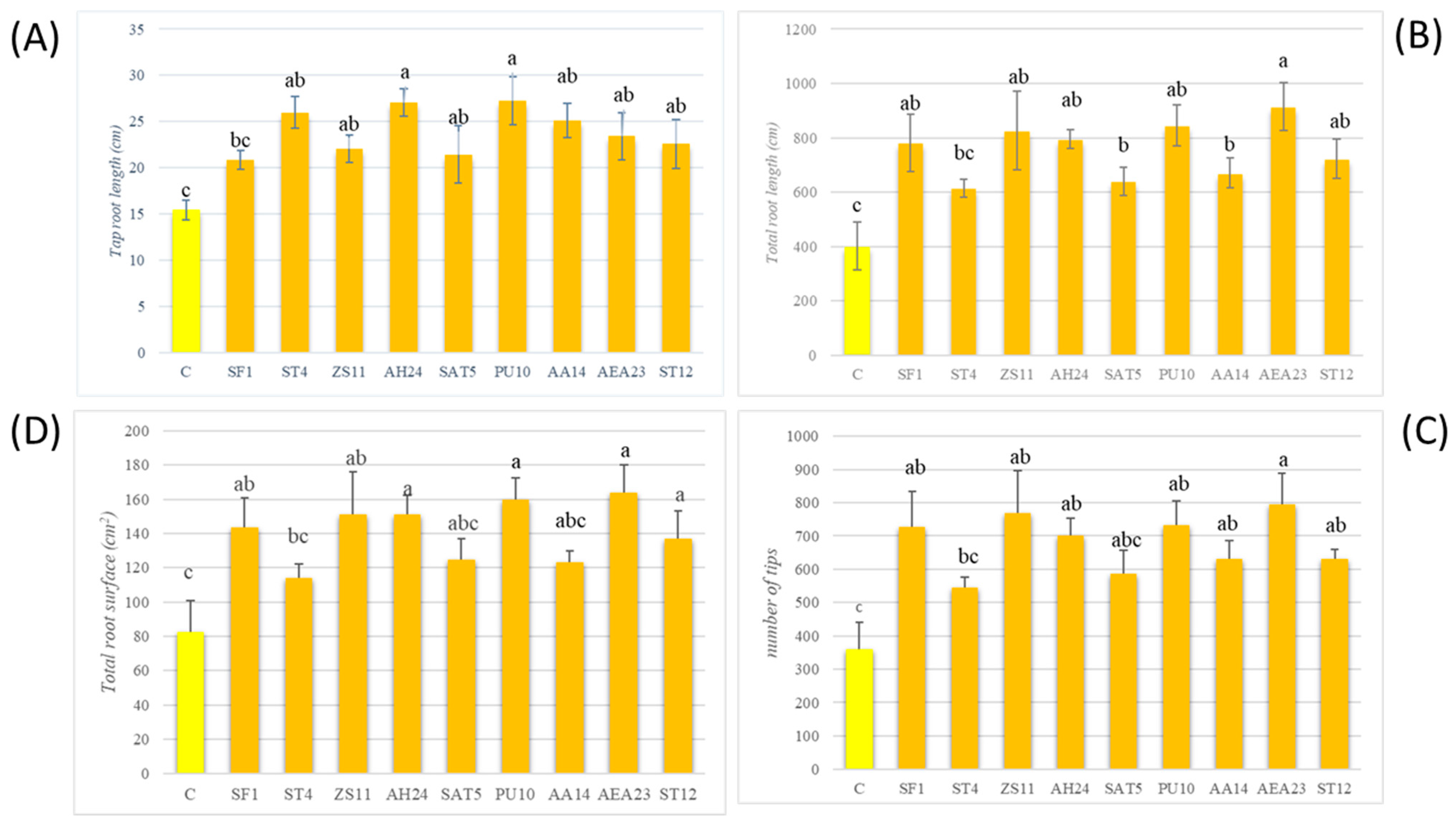 Processes 11 02907 g005 Processes 11 02907 g005