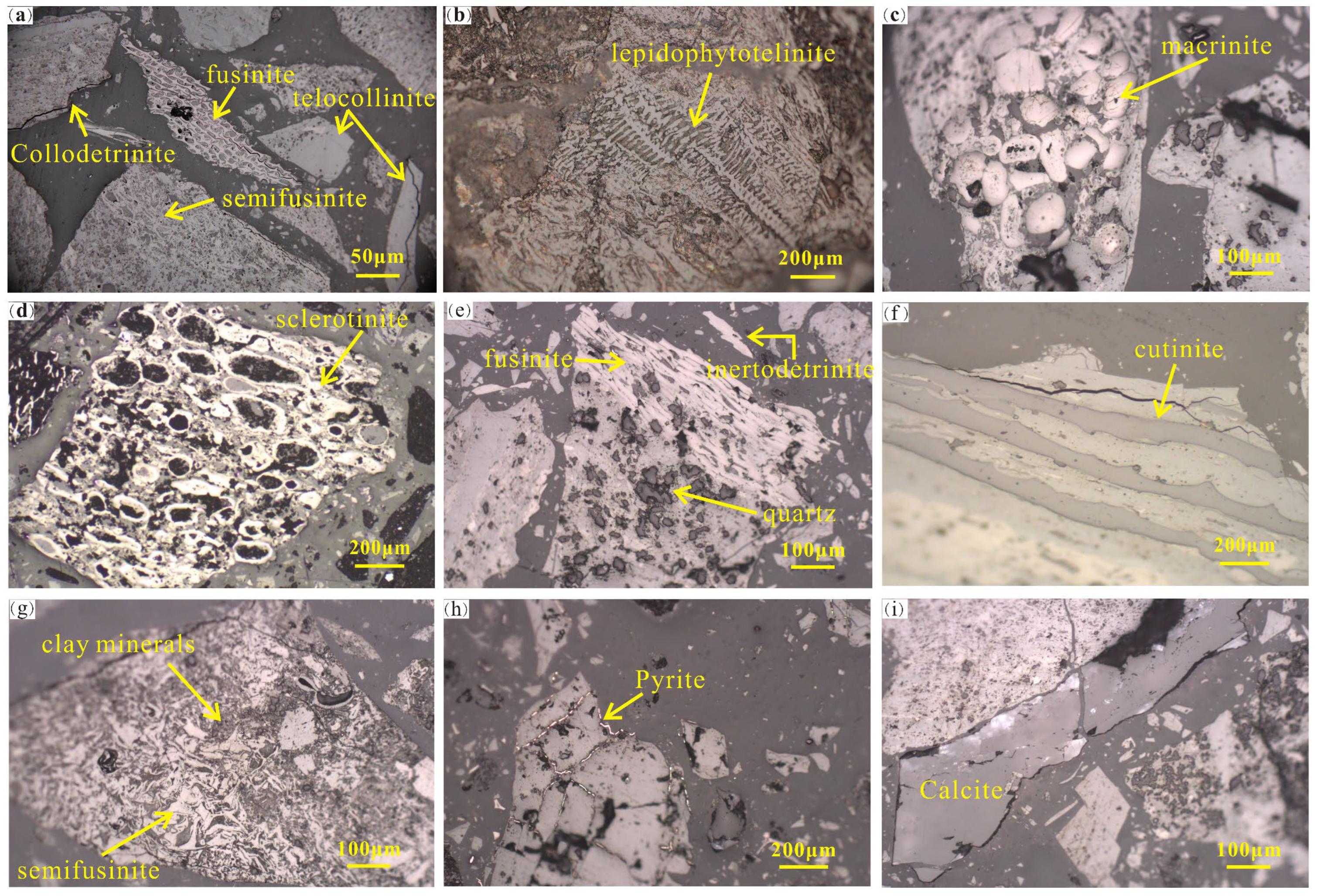 Processes 11 02936 g002