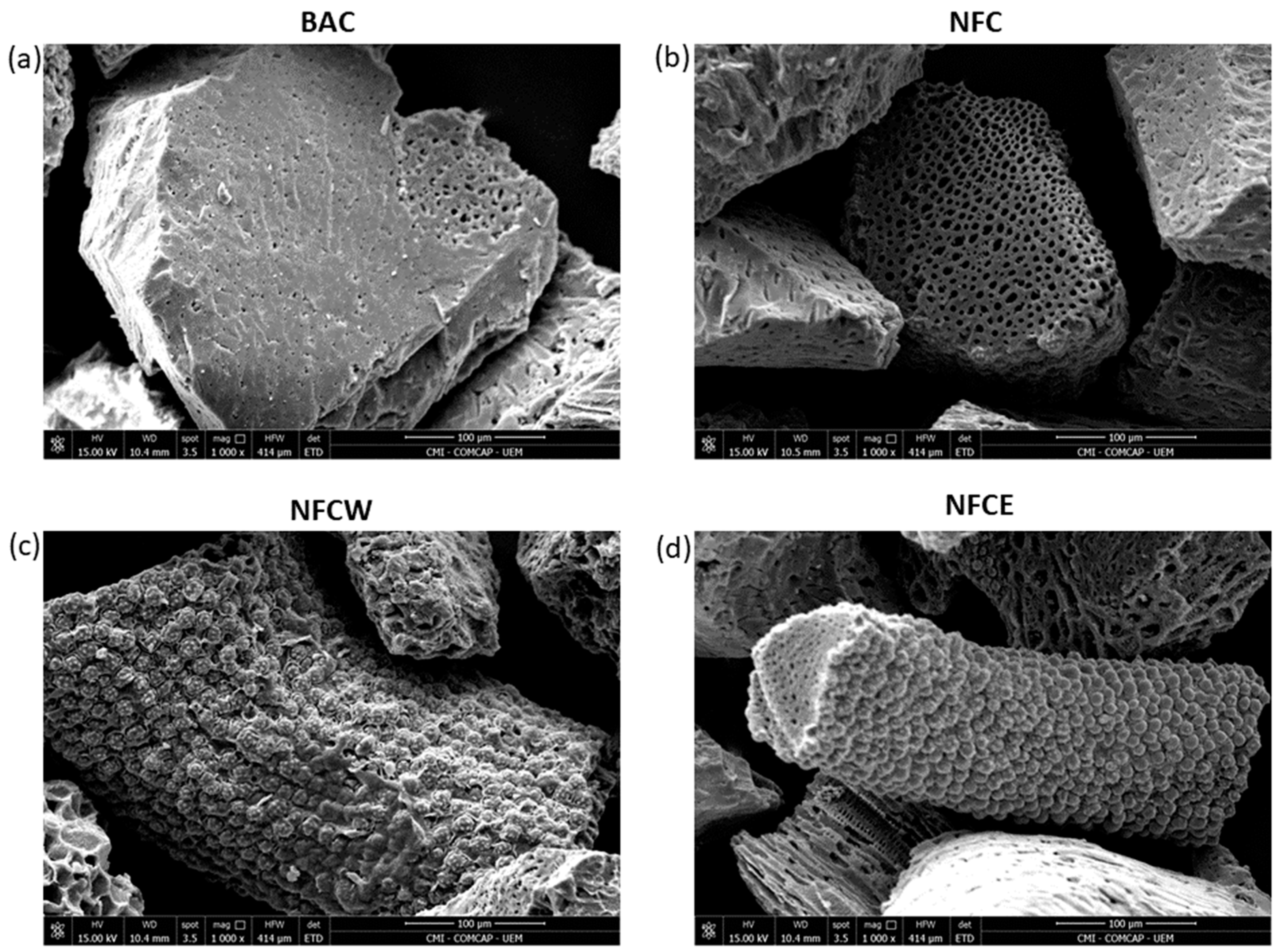 Processes | Free Full-Text | Antibacterial Potential of Activated