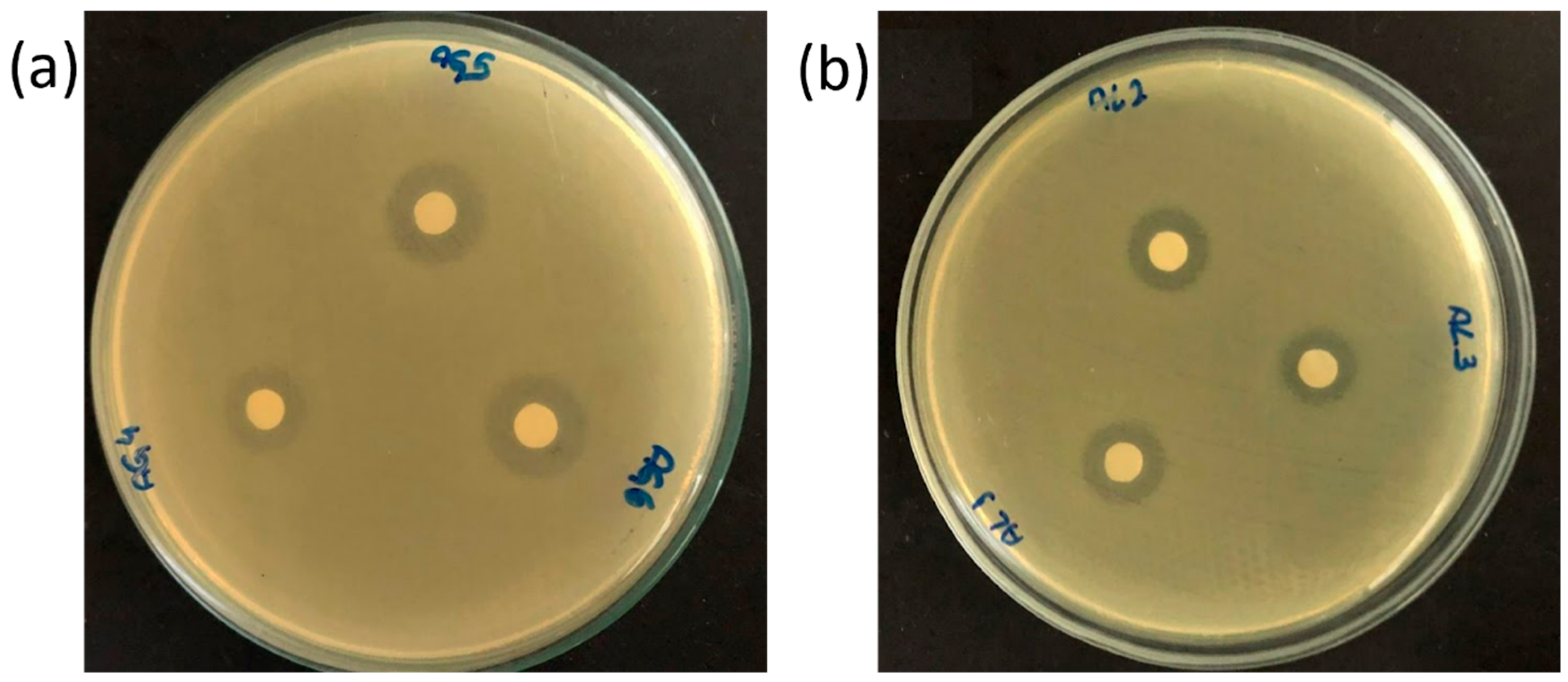 Processes 11 02948 g003