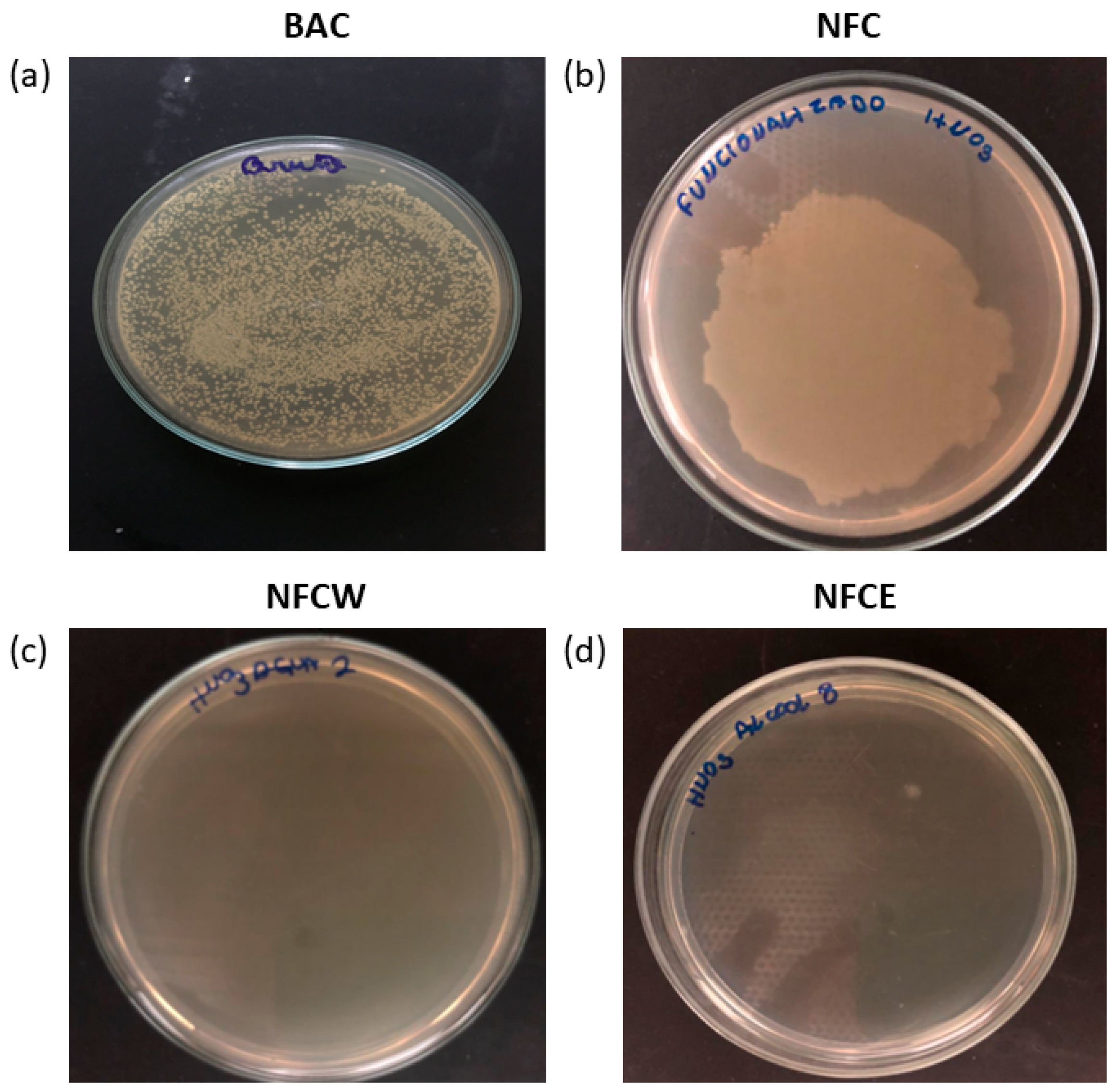 Processes 11 02948 g004