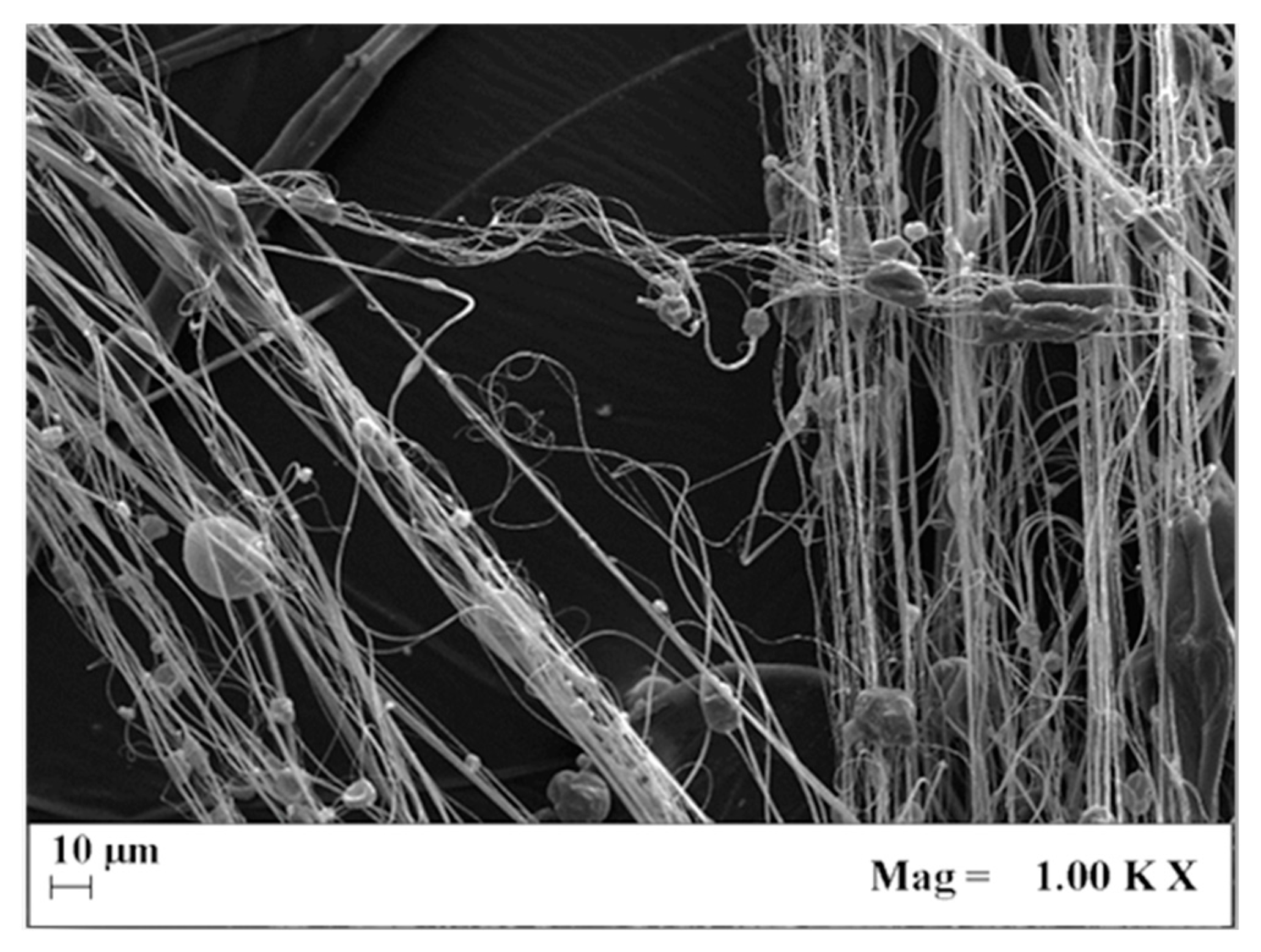 Processes 11 02957 g004