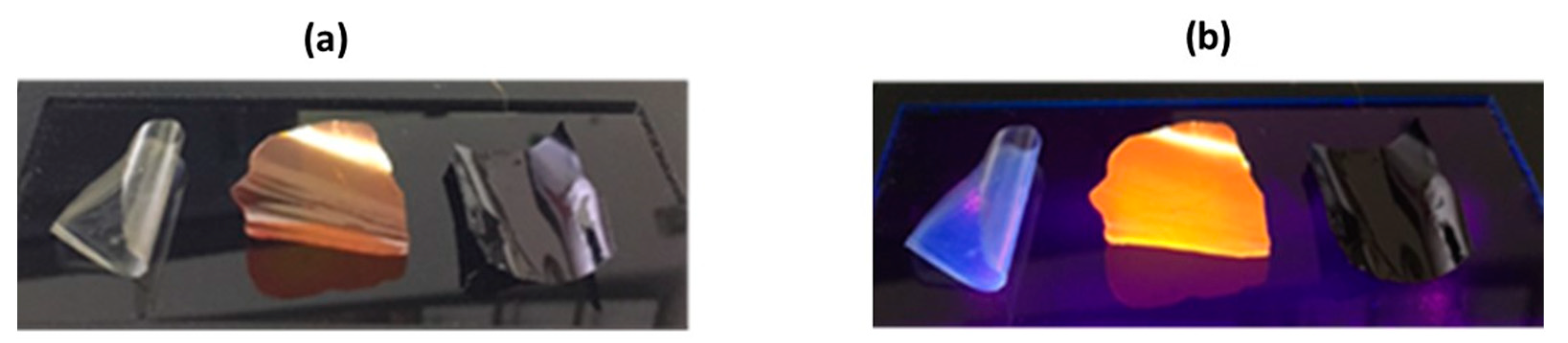 Processes 11 02959 g002