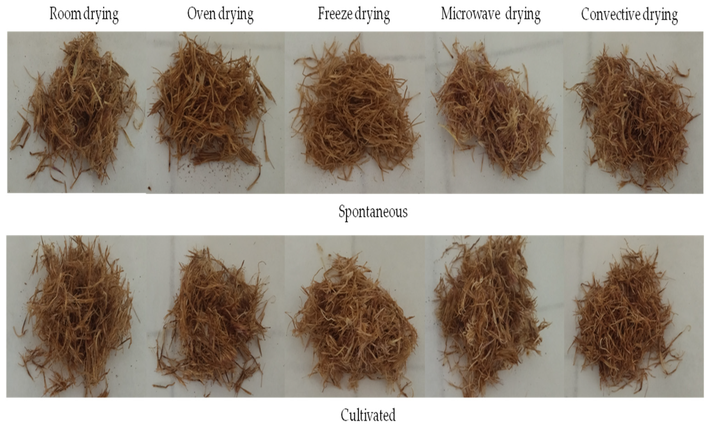 Processes 11 02962 g002