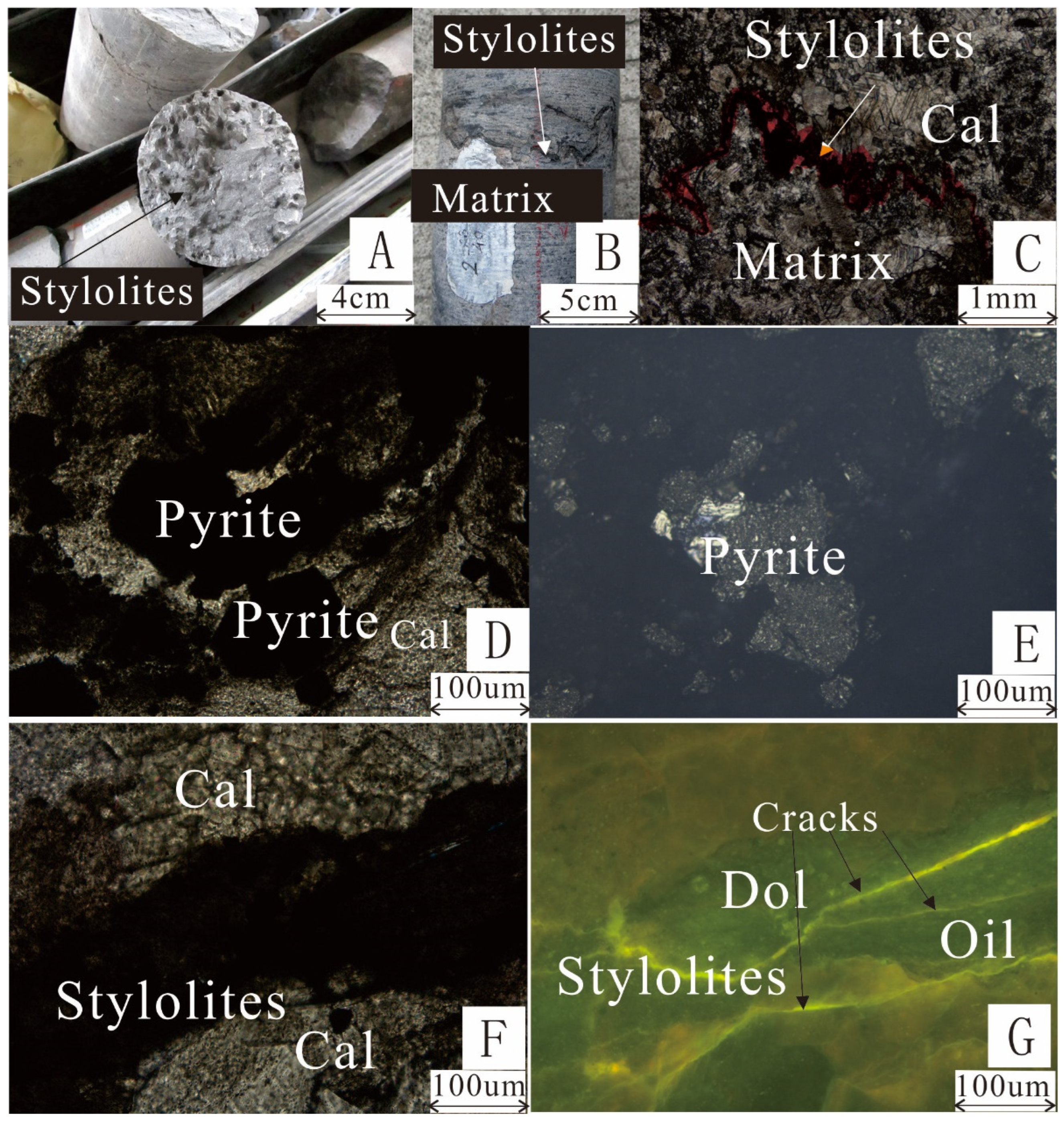 Processes 11 02967 g002