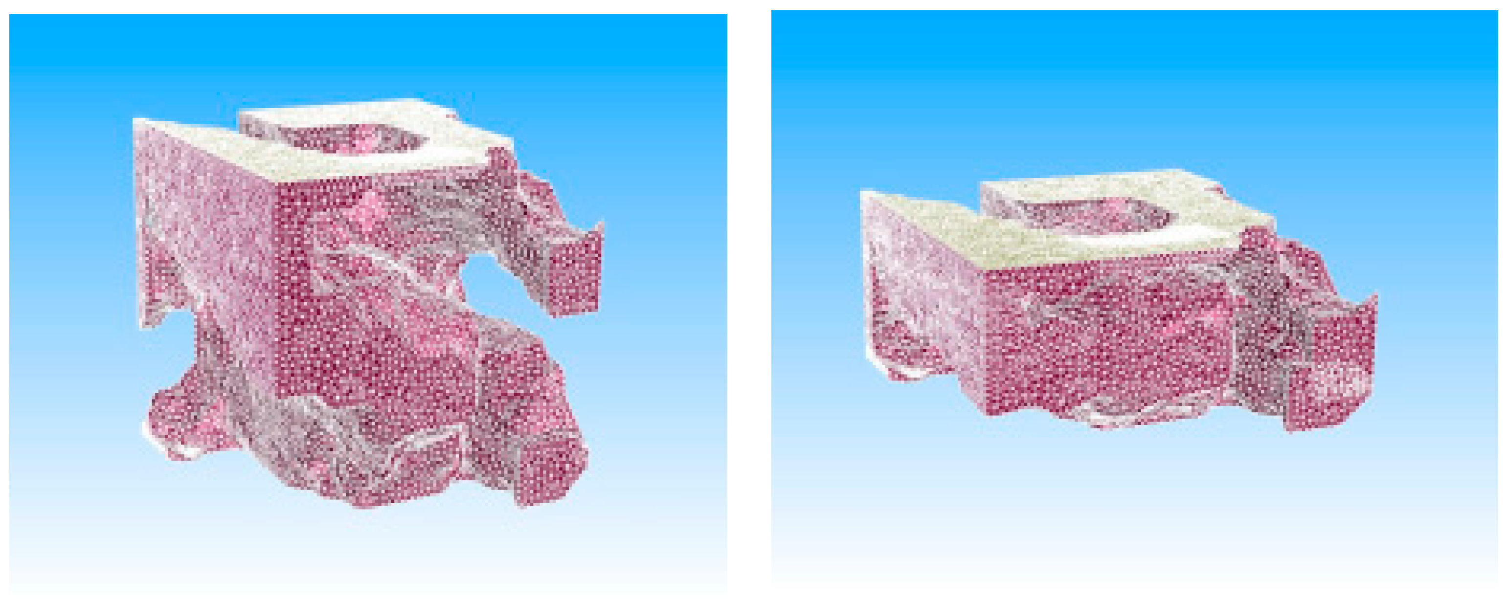 Processes 11 03015 g009