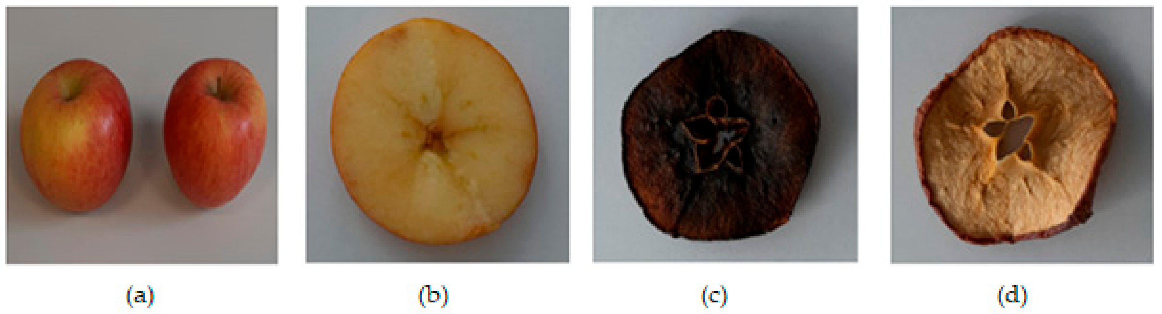 Processes 11 03027 g001