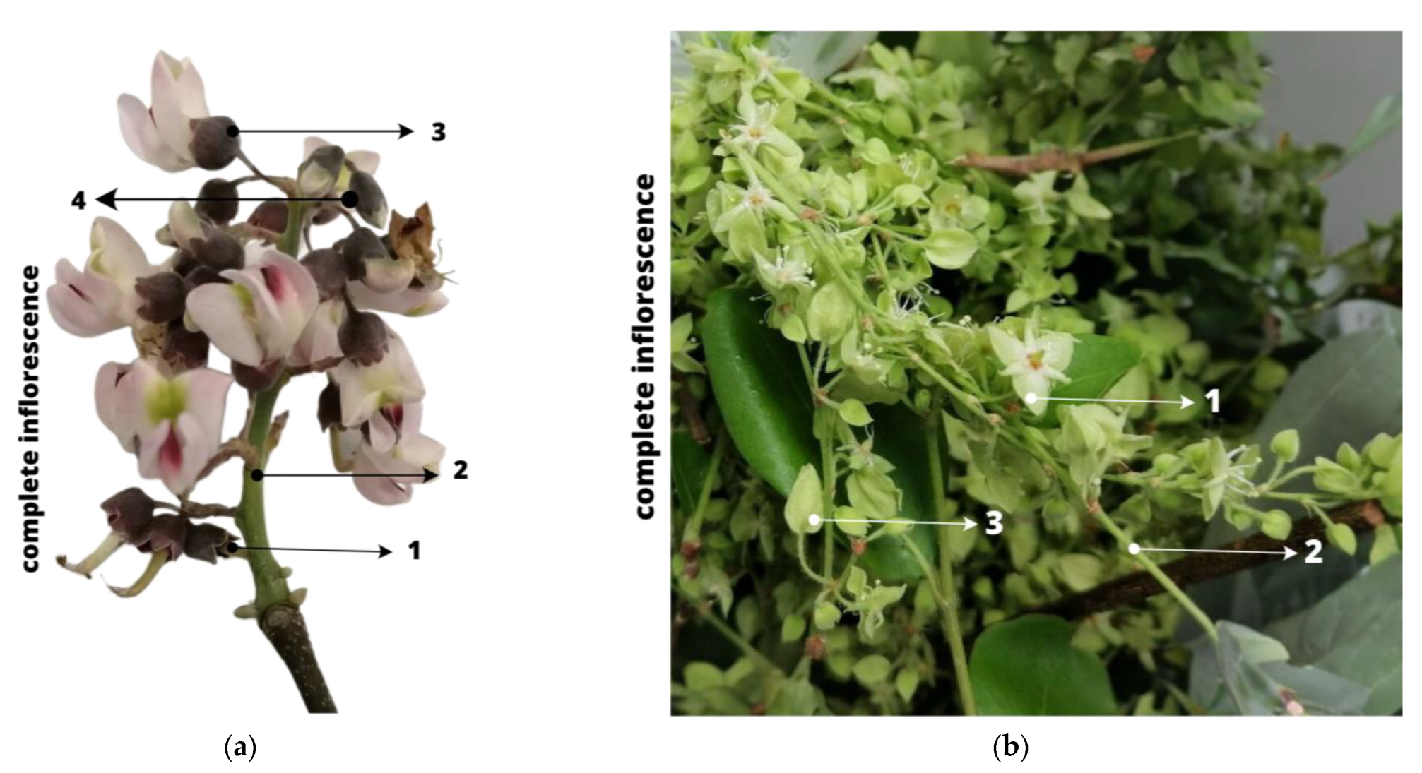 Processes 11 03028 g001