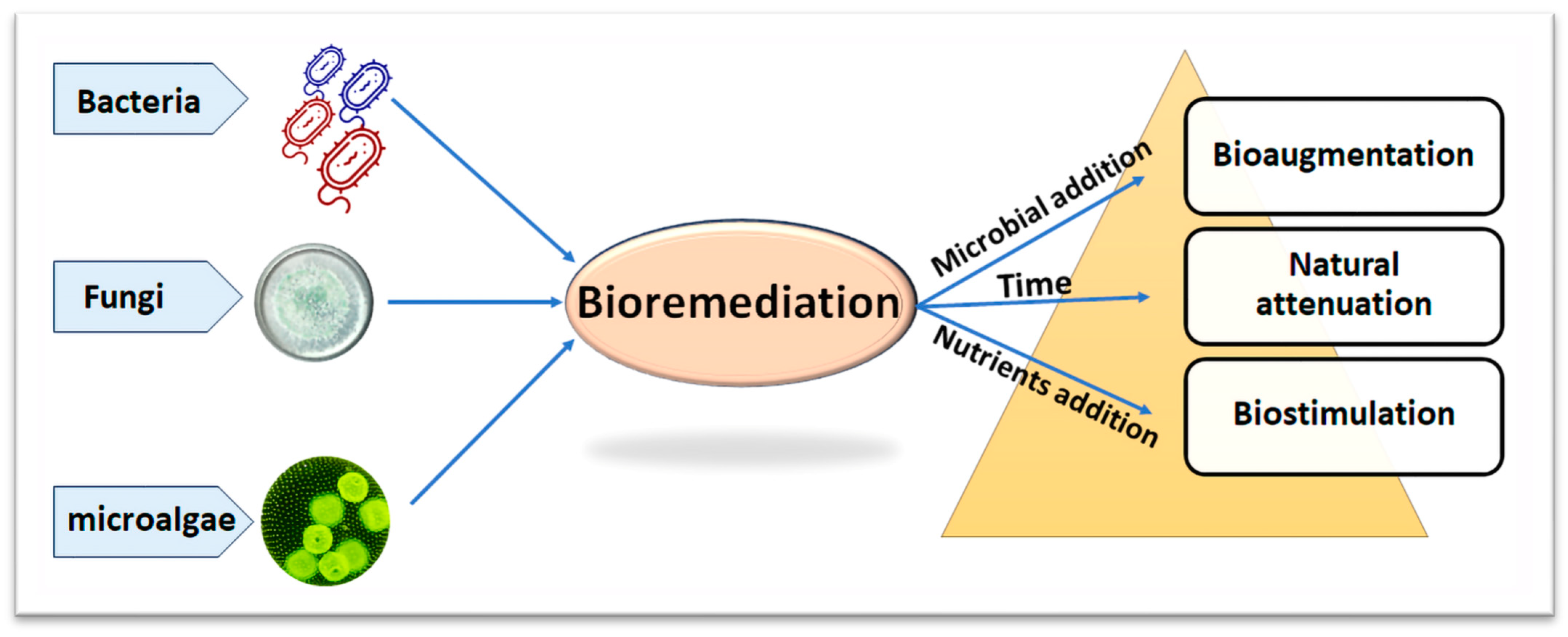 Processes 11 03036 g002