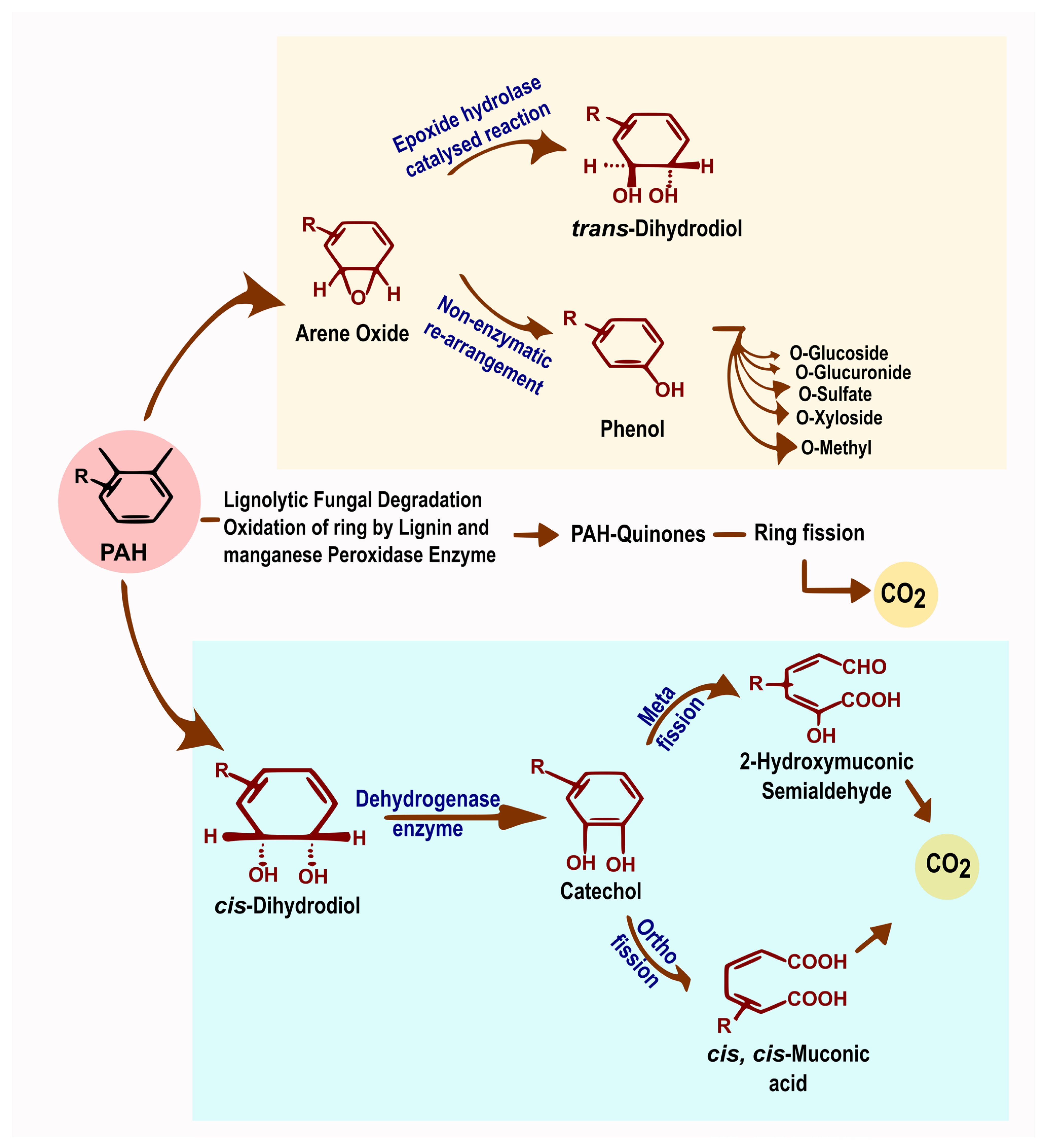 Processes 11 03036 g003
