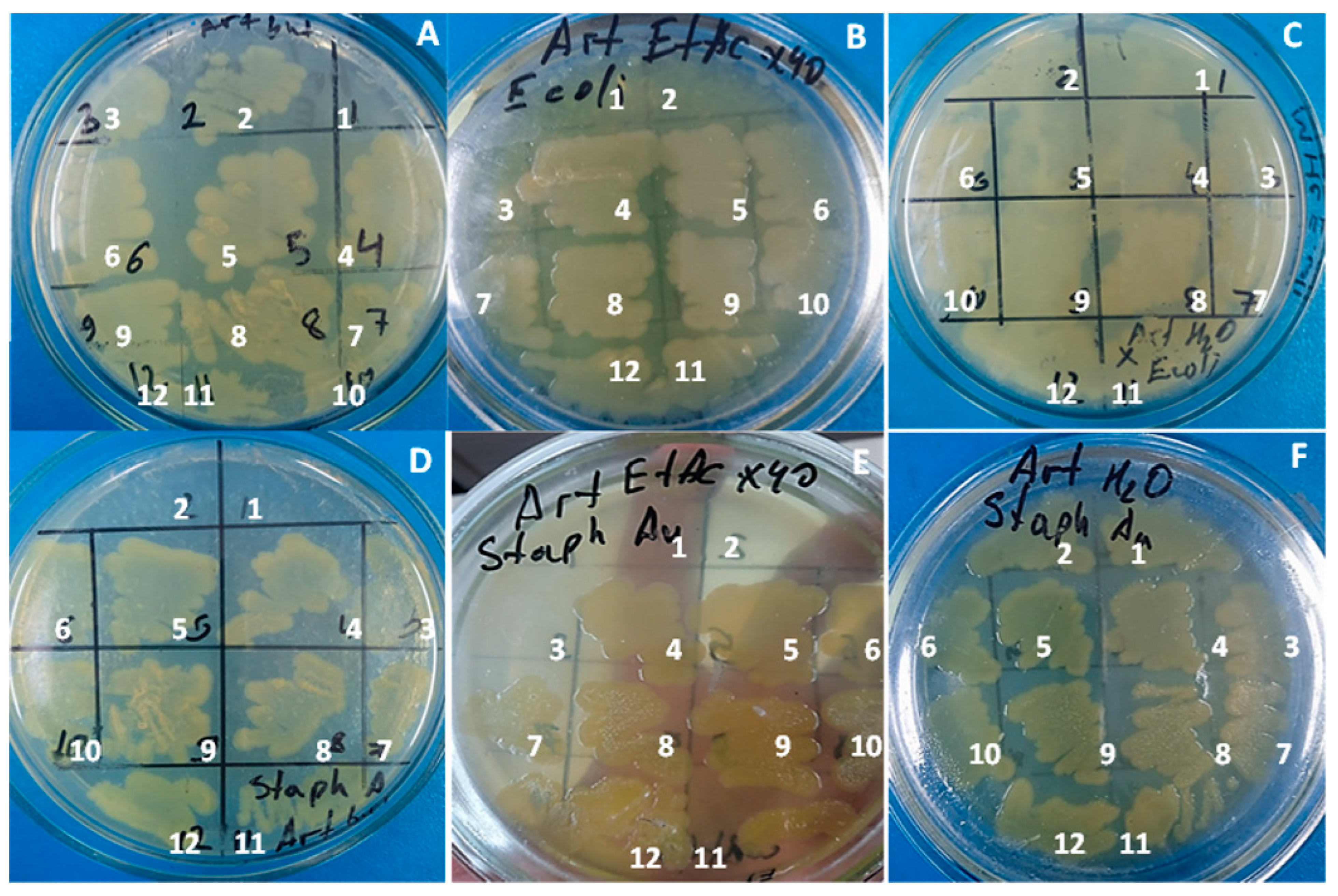 Processes 11 03041 g006