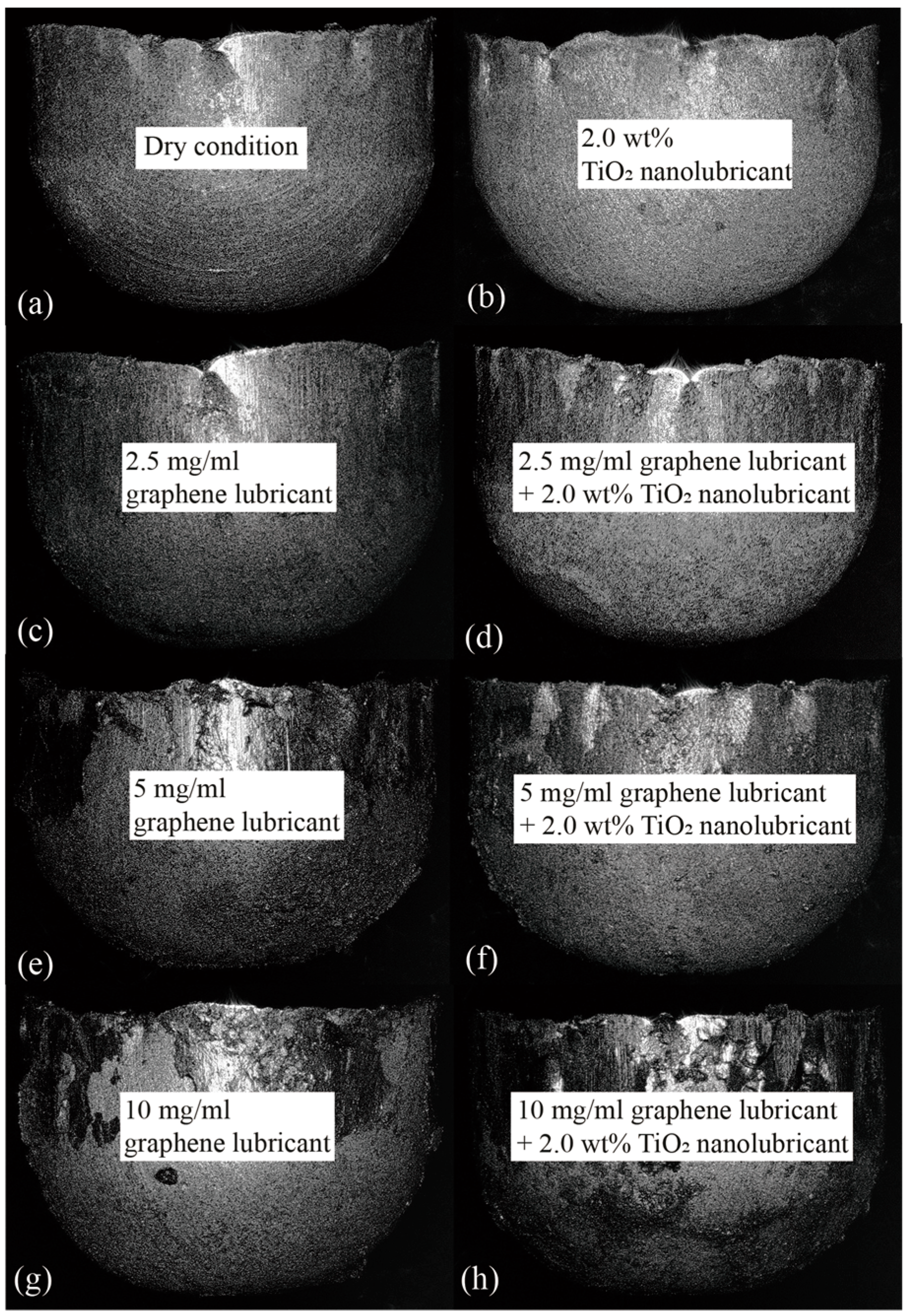 Processes 11 03042 g012